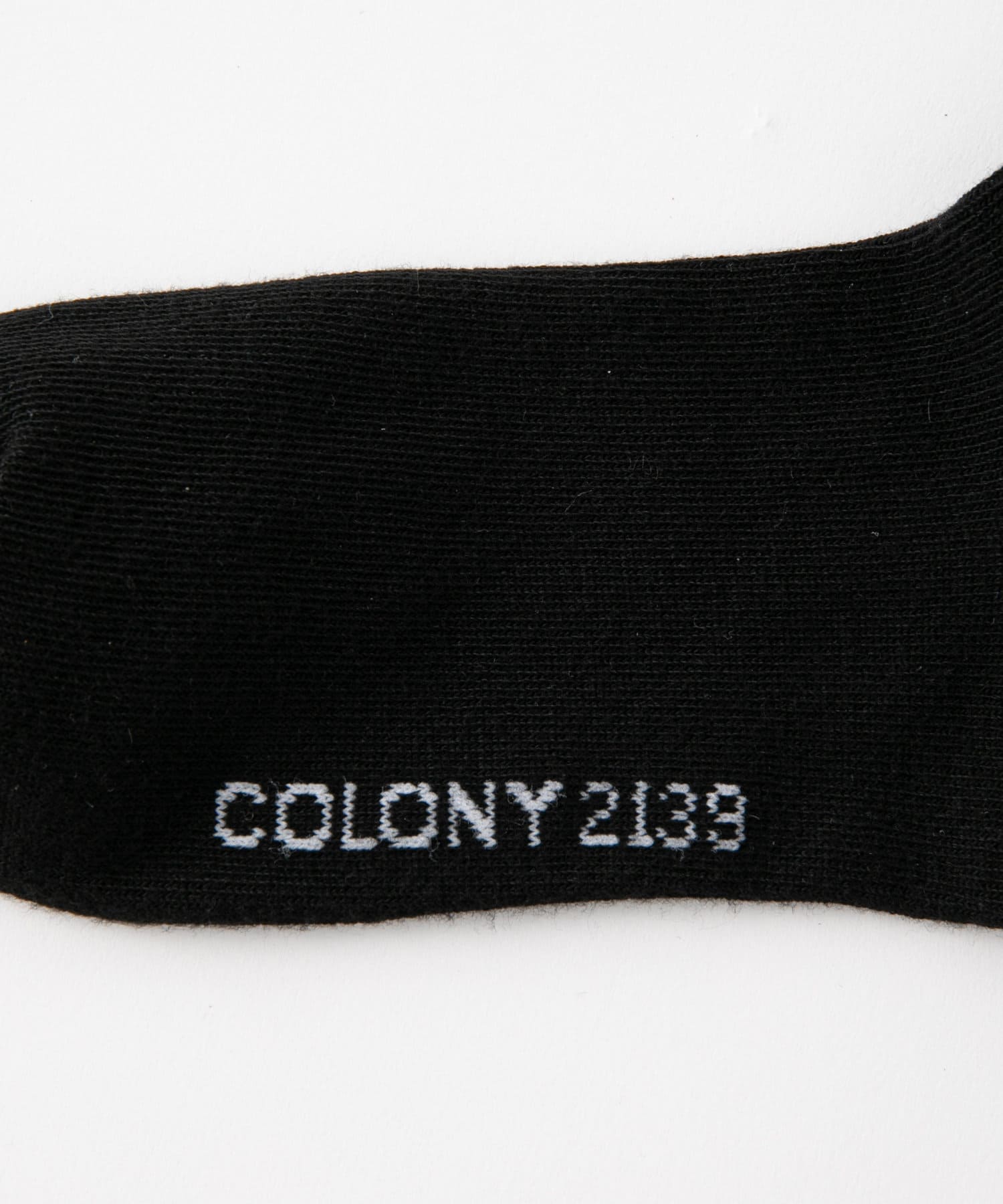 COLONY 2139(コロニー トゥーワンスリーナイン) バックロゴソックス