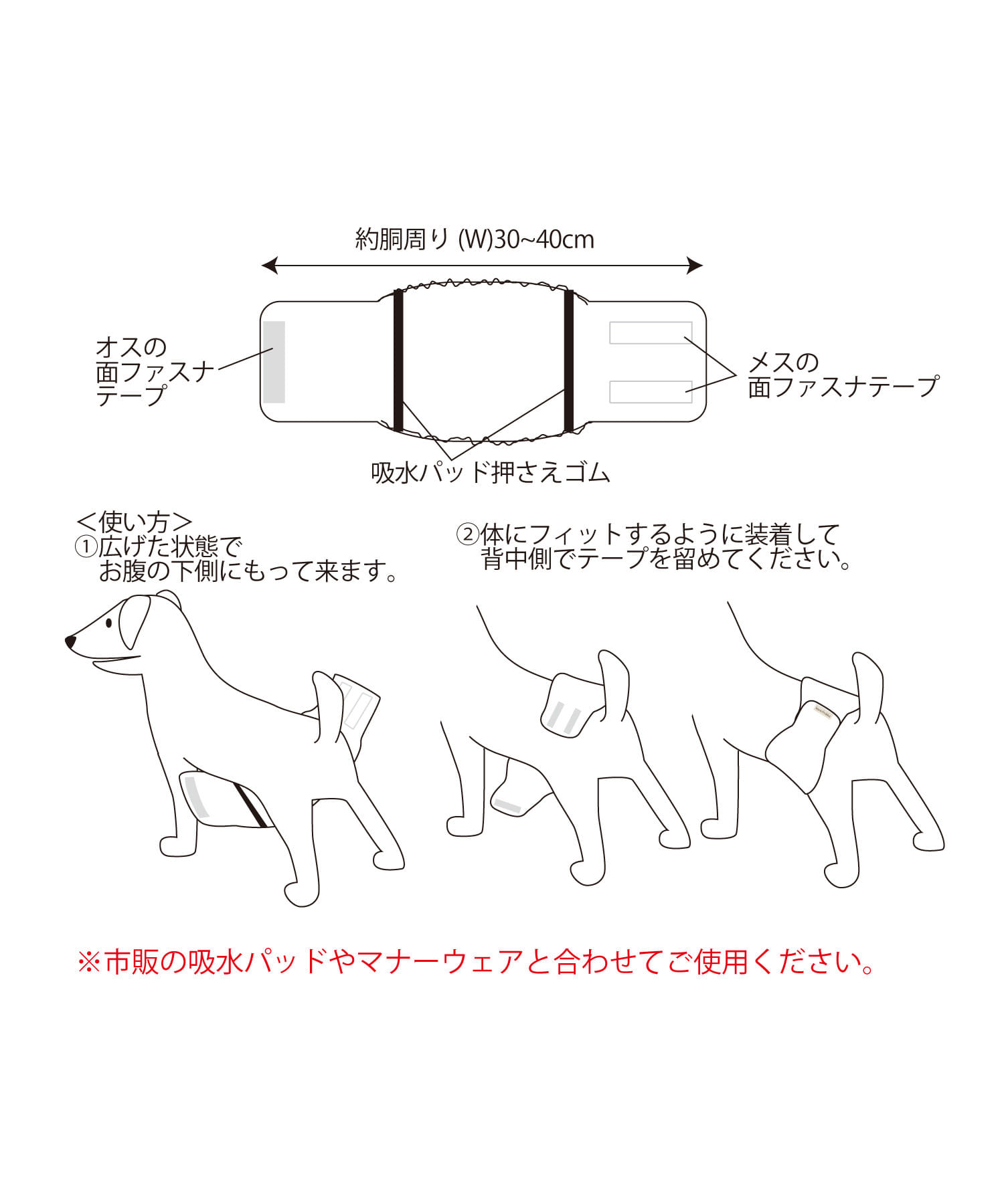 3COINS(スリーコインズ) マナーベルトオス