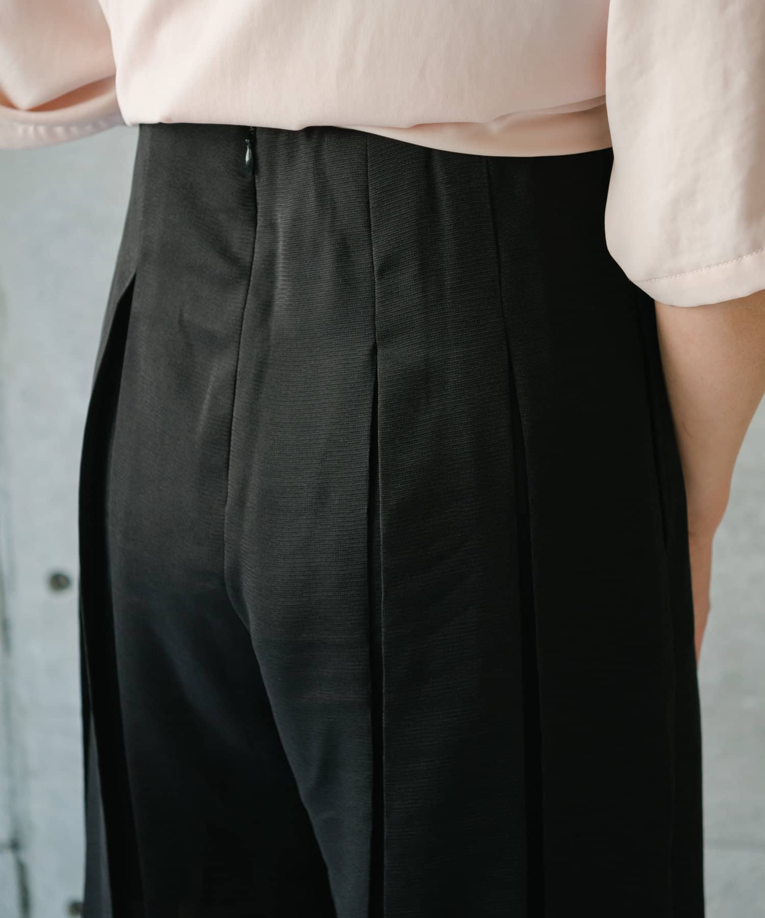 Pasterip(パセリ) Sheer pleated pants