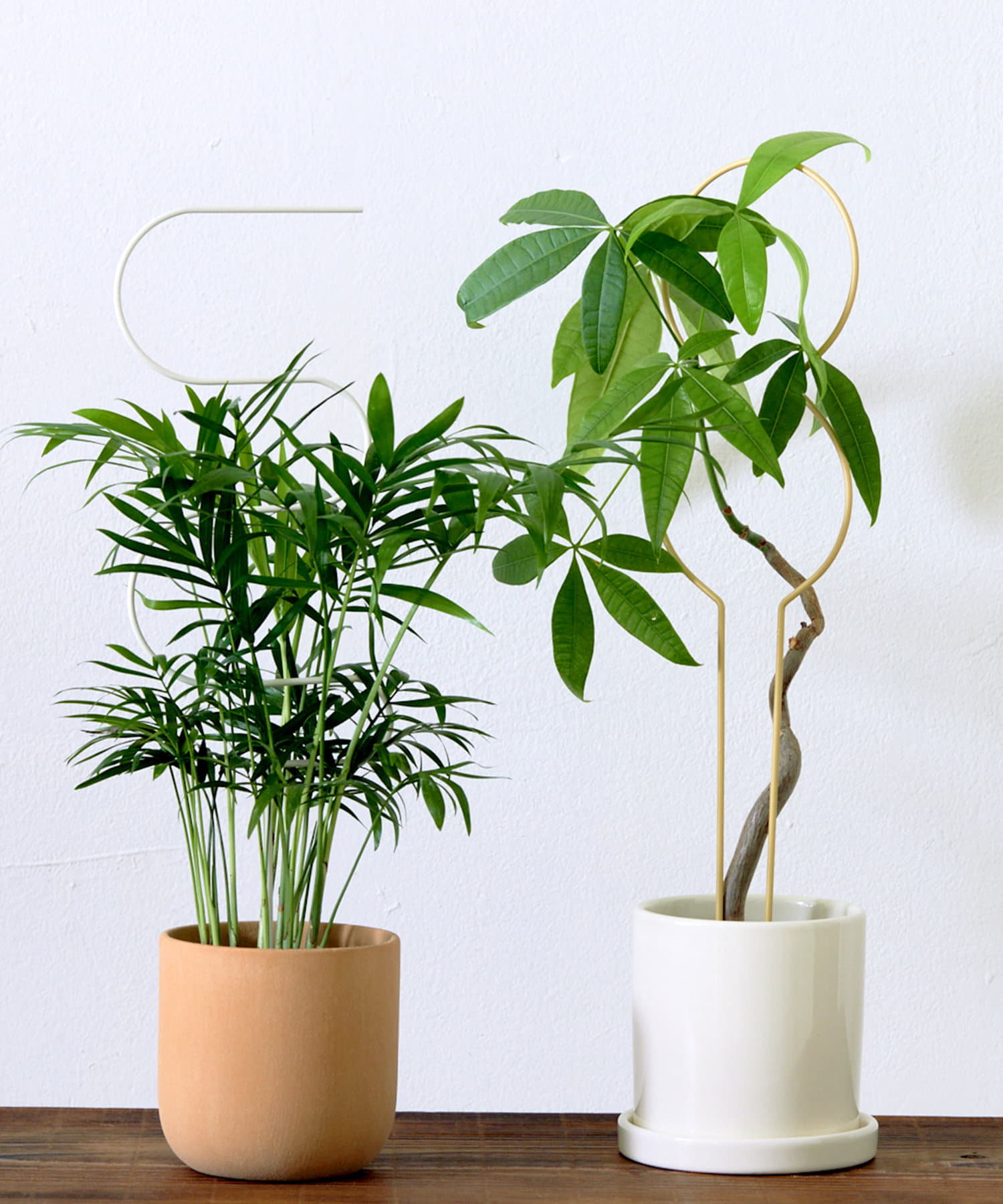 3COINS(スリーコインズ) 植物用杭／Interior Green
