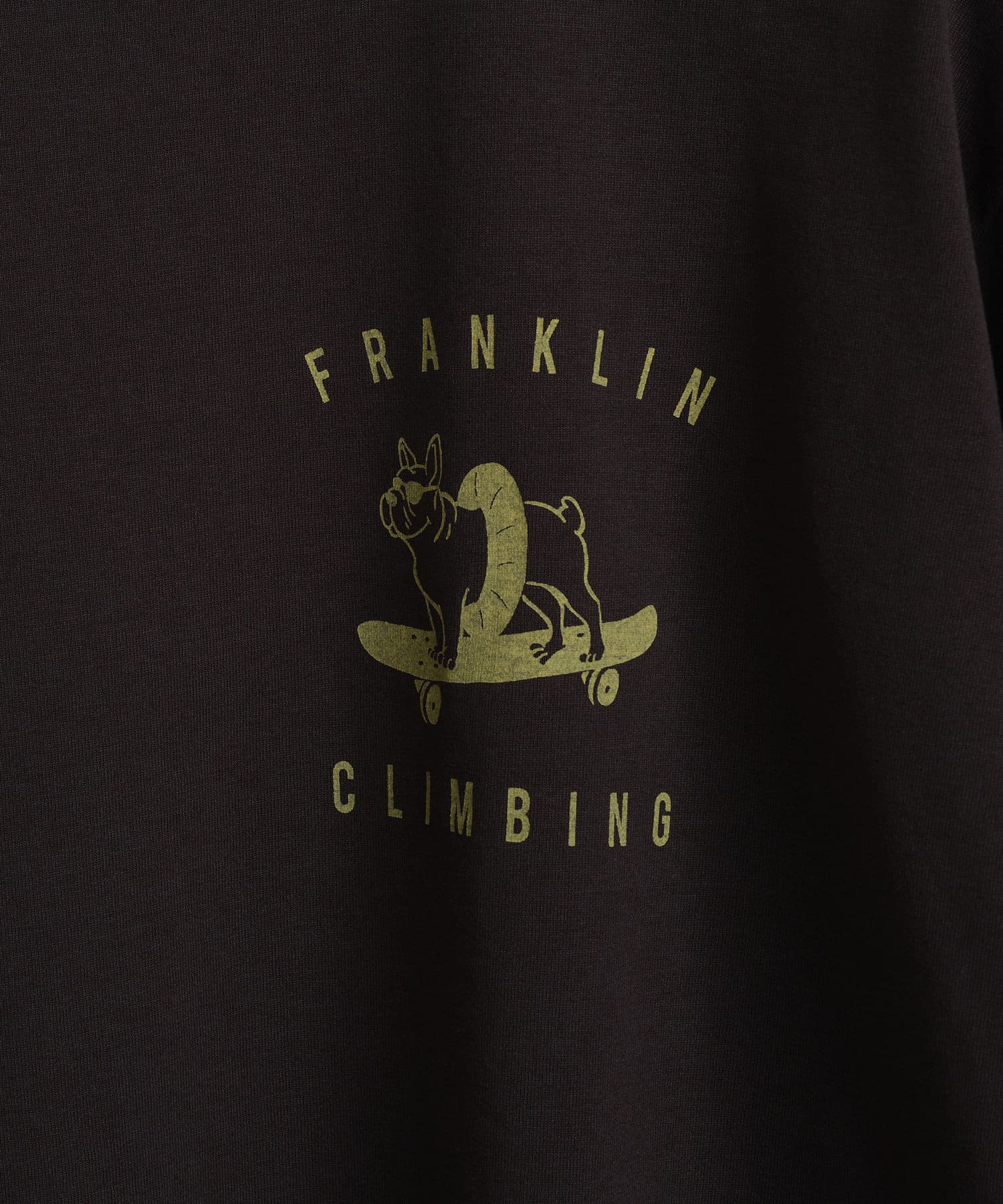 CIAOPANIC TYPY(チャオパニックティピー) 【Franklin Climbing】ブルドッグスケボー半袖Tee