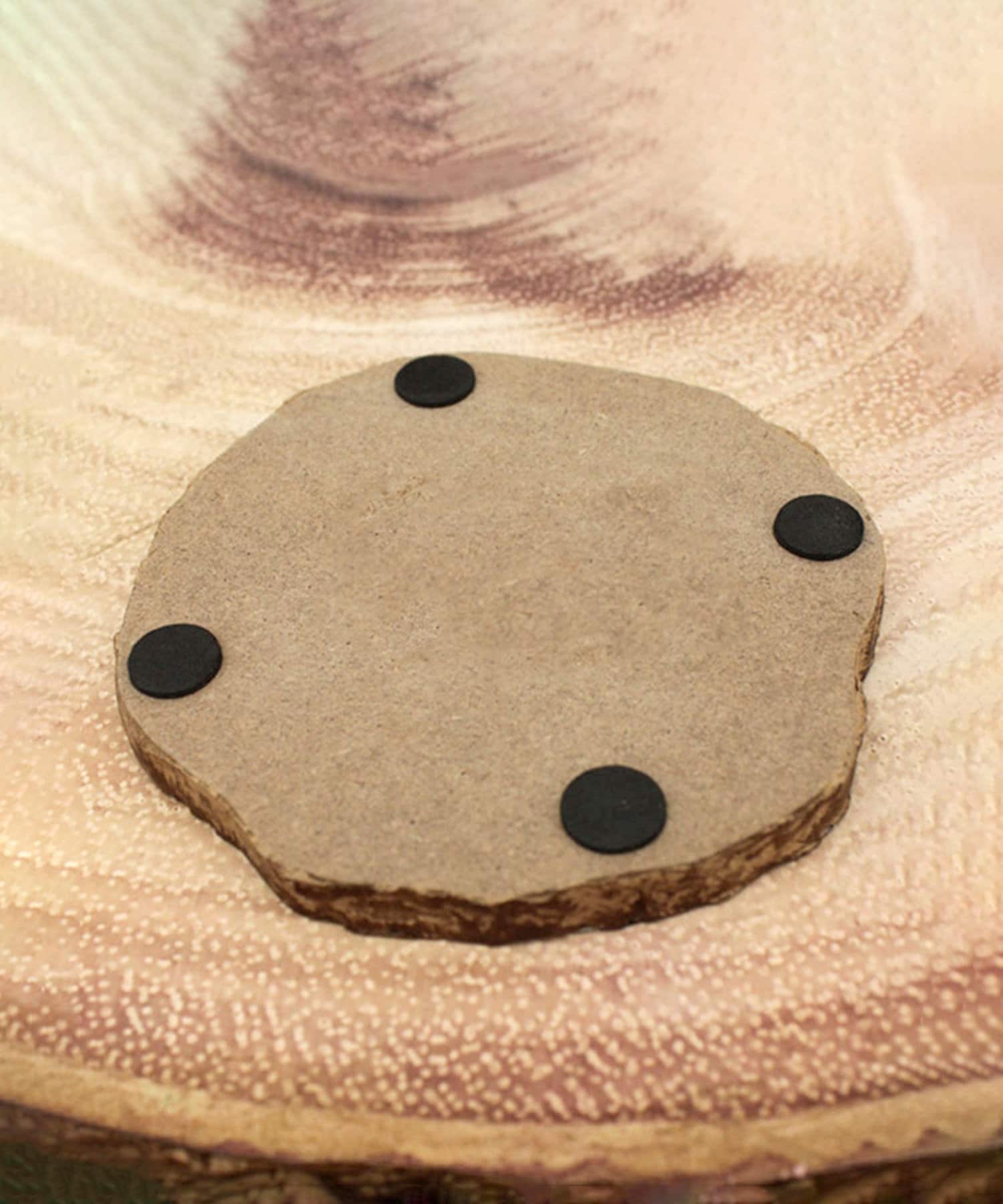 salut!(サリュ) 切り株コースター