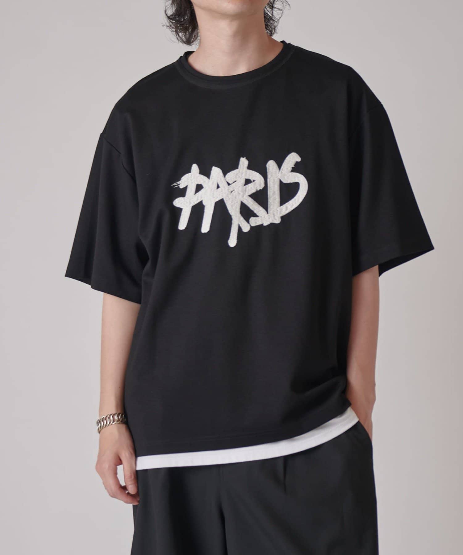 PARIS エンブロイダリー T | Lui's(ルイス)メンズ | PAL CLOSET