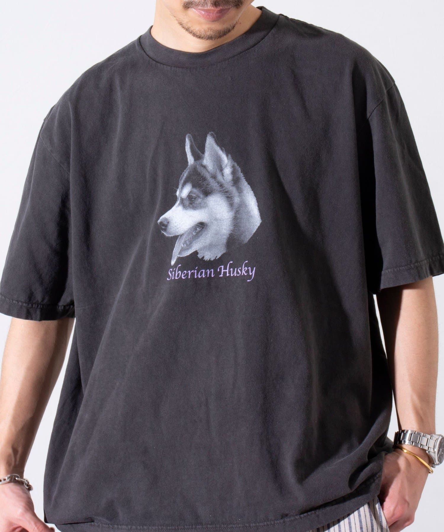 FREDY & GLOSTER(フレディ アンド グロスター) 【GLOSTER】DOG&CAT 犬猫プリント ピグメント プリントTシャツ