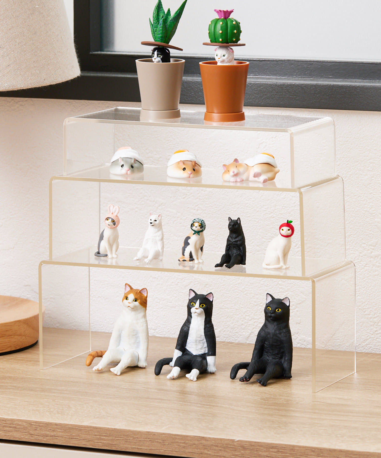 大3、小3の合計6個セット無印良品 アクリルコレクションスタンド