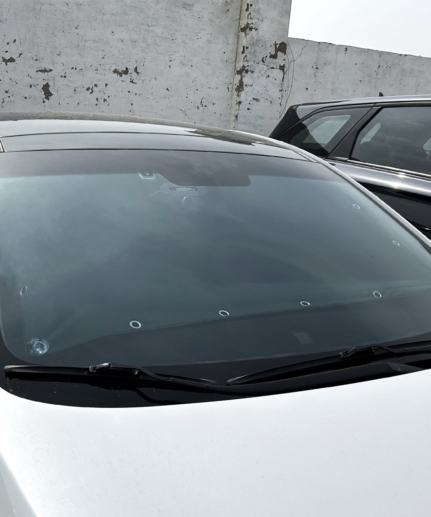 《2WAY》CARフロントガラス&リアガラス用遮光カーテン 3COINS(スリーコインズ)ライフスタイル PAL CLOSET(パル