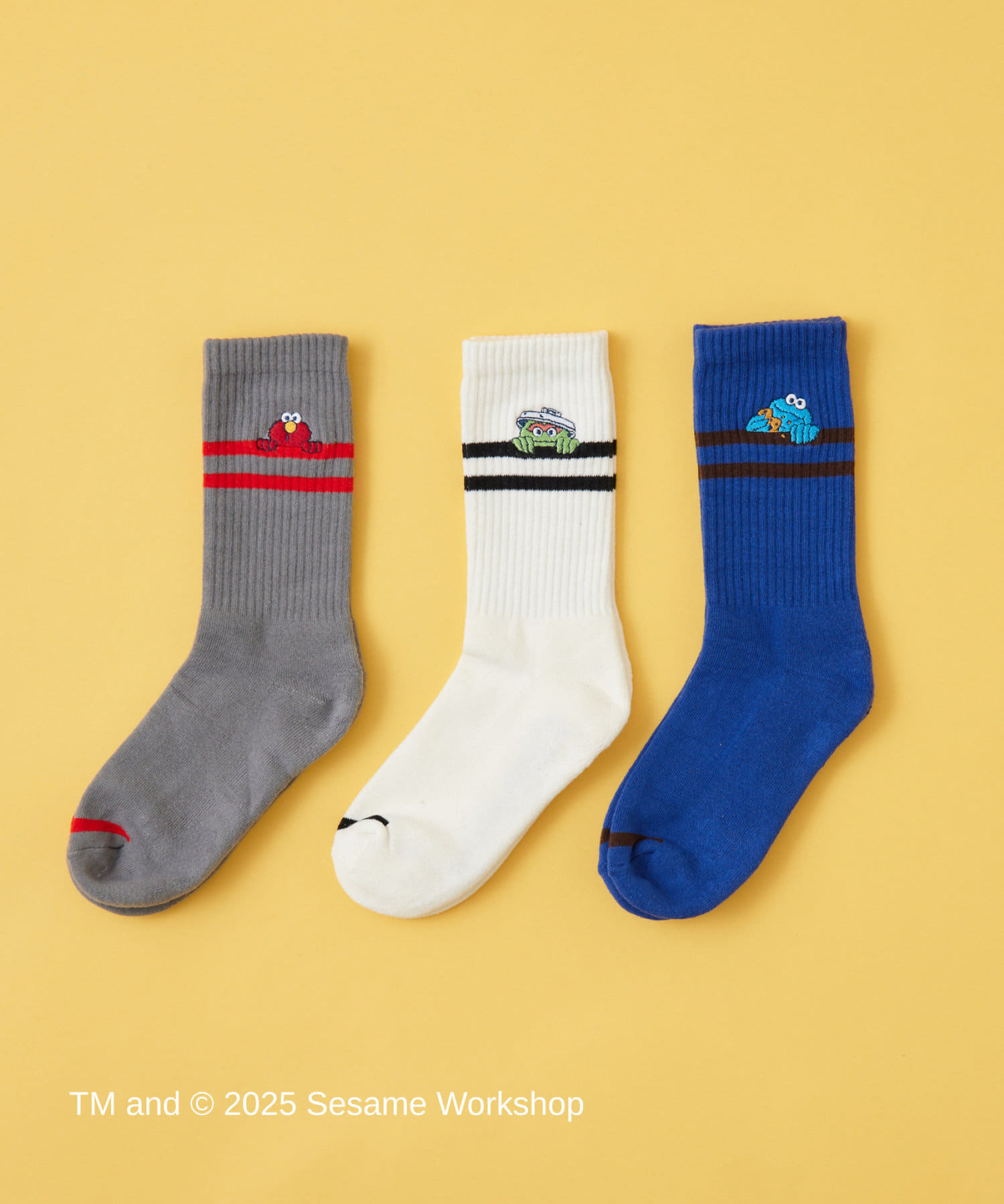 ear PAPILLONNER(イア パピヨネ) レディース 《3点セット》【SESAME STREET（セサミストリート）】コラボ刺しゅうソックス カラーなし