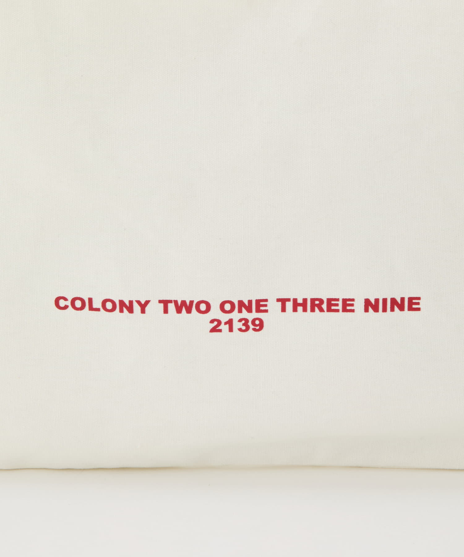 COLONY 2139(コロニー トゥーワンスリーナイン) 7デイズキャンバストートバッグ