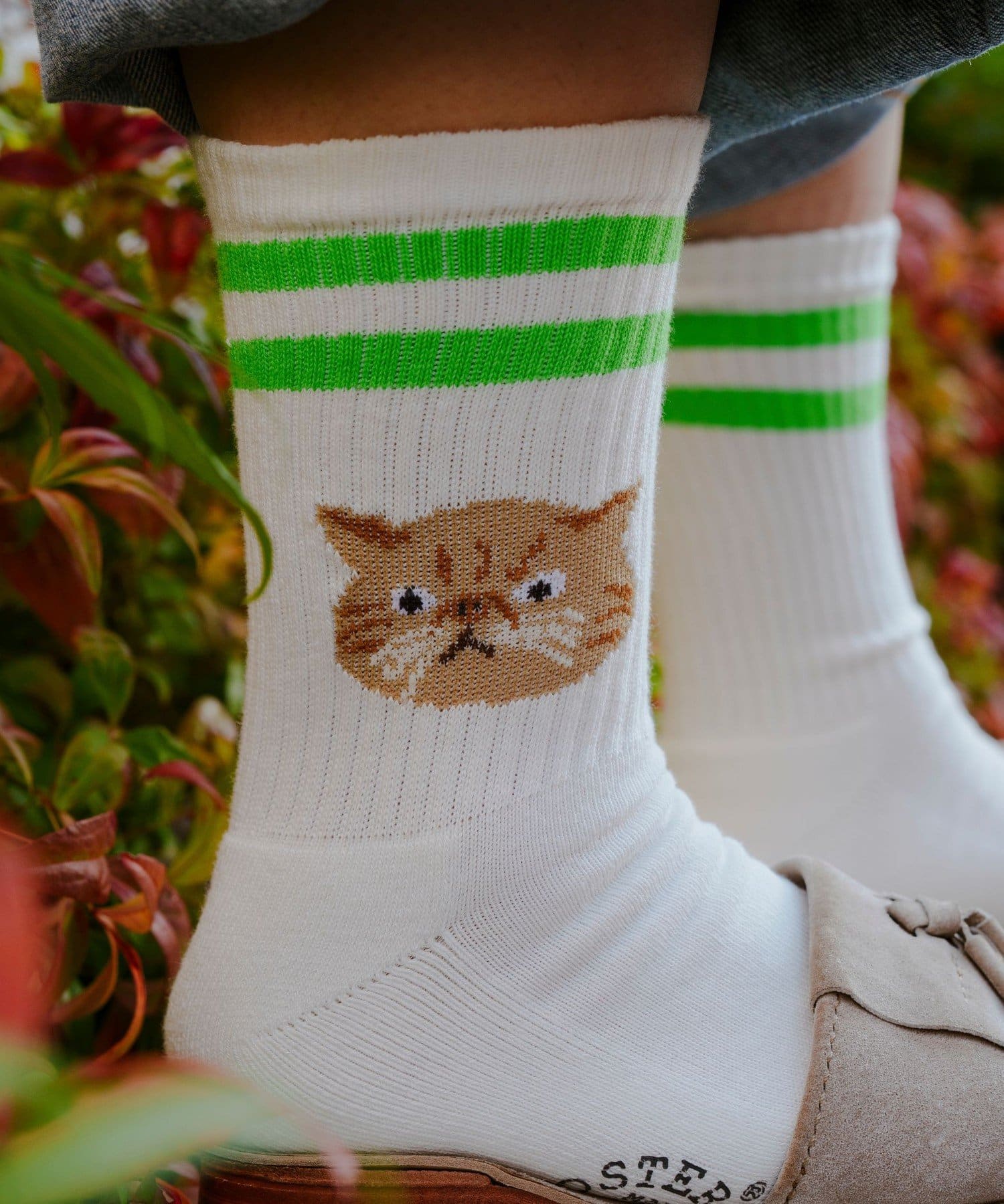 FREDY & GLOSTER(フレディ アンド グロスター) 【ROSTER SOX/ロスターソックス】CAT ラインソックス 靴下 日本製