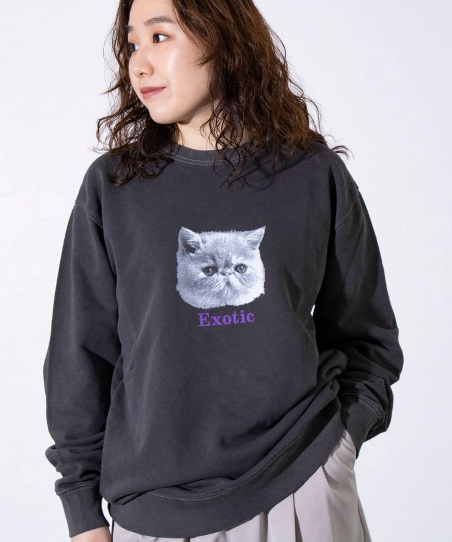 FREDY & GLOSTER(フレディ アンド グロスター) 【GLOSTER】DOG&CAT 犬猫ピグメント クルーネックスウェット