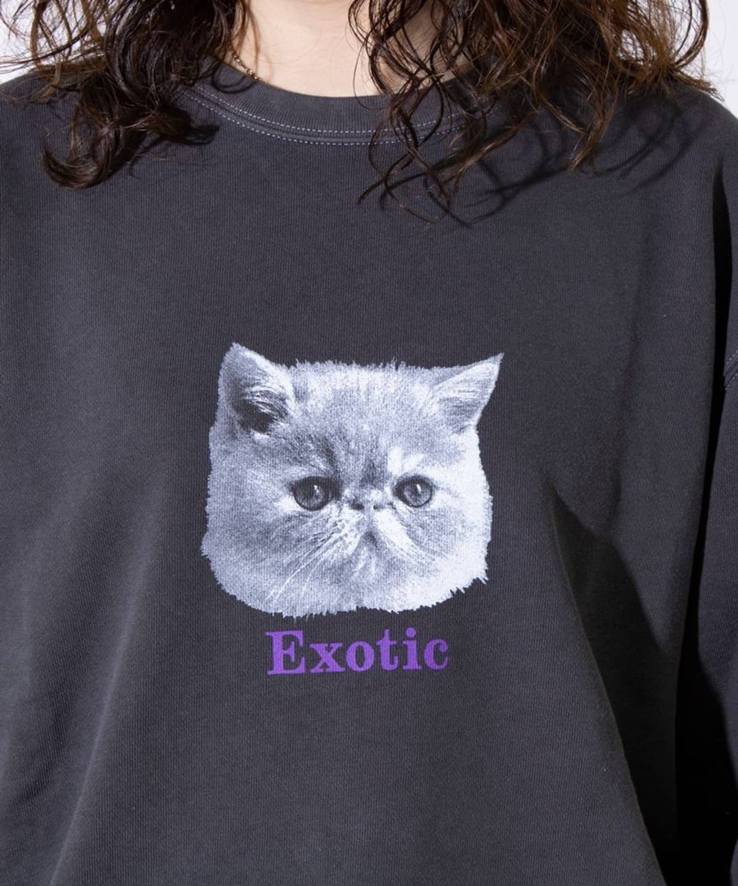 FREDY & GLOSTER(フレディ アンド グロスター) 【GLOSTER】DOG&CAT 犬猫ピグメント クルーネックスウェット