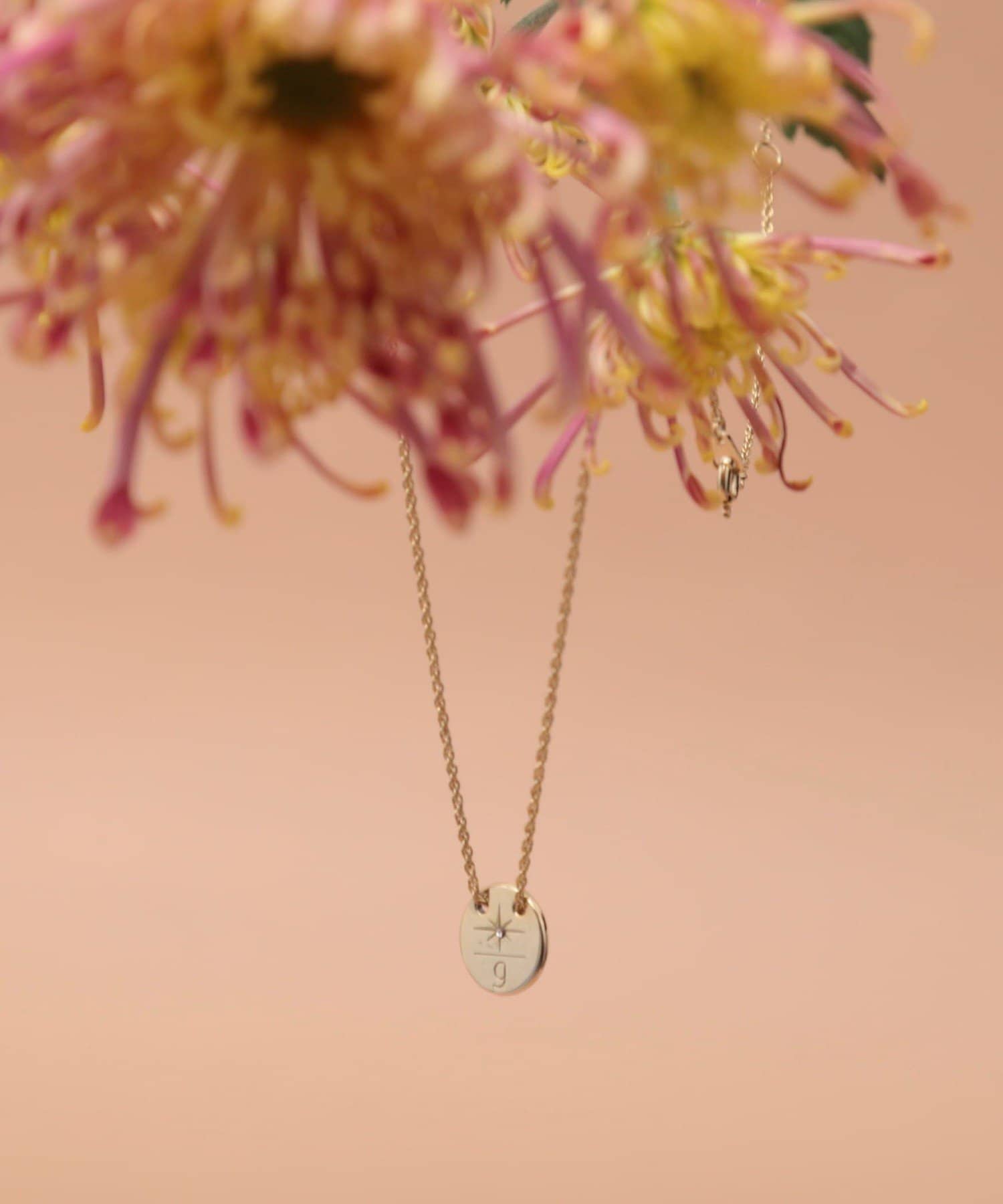 NOLLEY'S(ノーリーズ) 【grâce grace/グラスグラス】シャインプレートネックレス