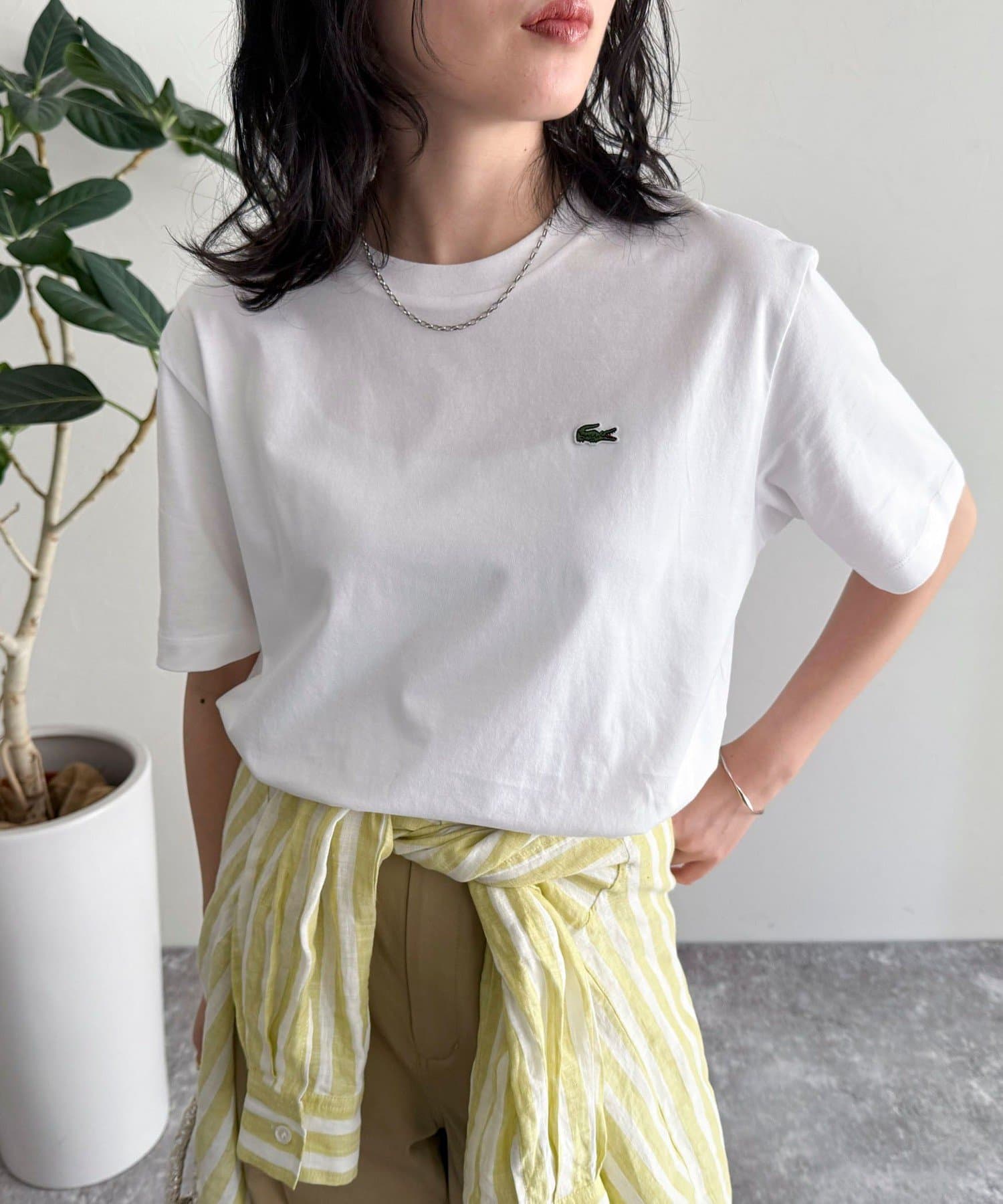 FREDY & GLOSTER(フレディ アンド グロスター) 【LACOSTE/ラコステ】ワンポインソフトタッチTシャツ