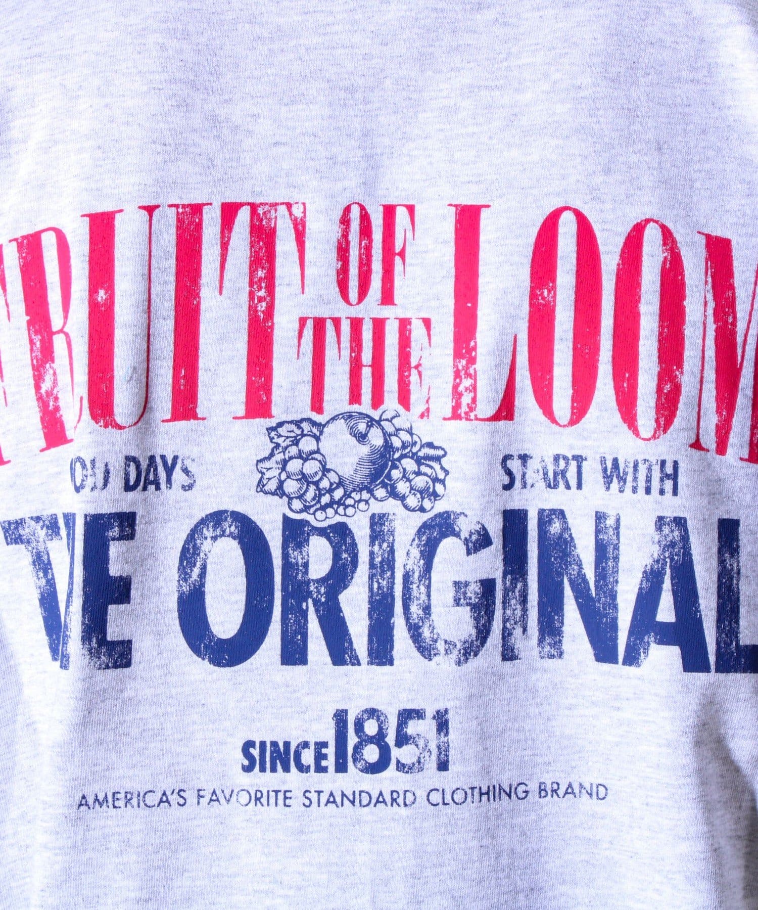 FREDY & GLOSTER(フレディ アンド グロスター) 【FRUIT OF THE LOOM】プリントTシャツ バックプリント