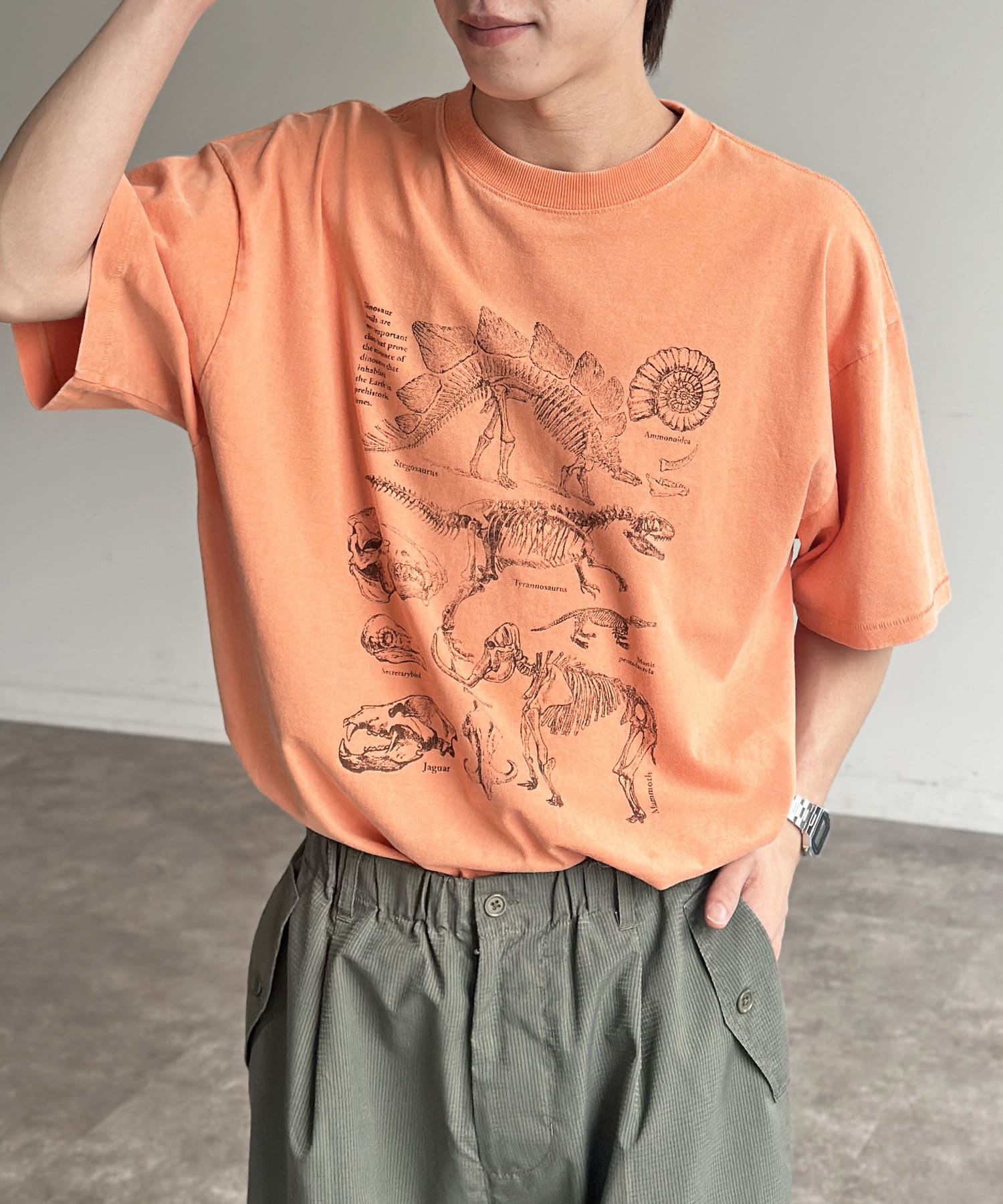 CPCM(シーピーシーエム) カラーパウダーダイナソーT