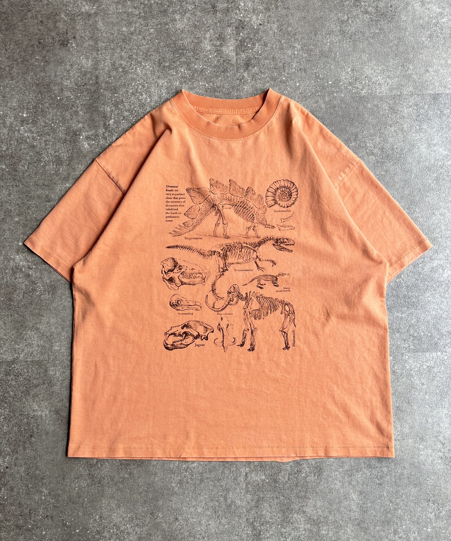 CPCM(シーピーシーエム) カラーパウダーダイナソーT