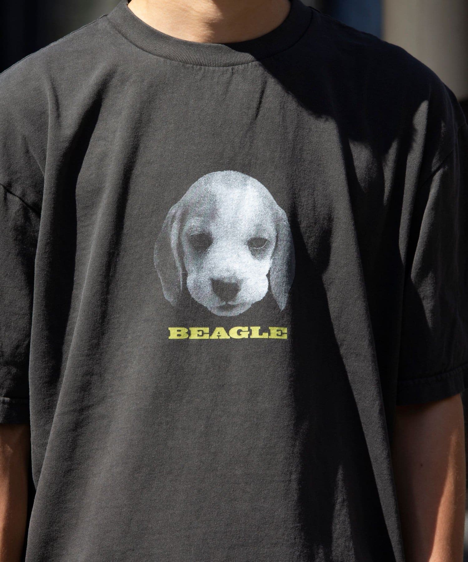 FREDY & GLOSTER(フレディ アンド グロスター) 【新柄追加】DOG&CAT 犬猫プリント ピグメント プリントTシャツ
