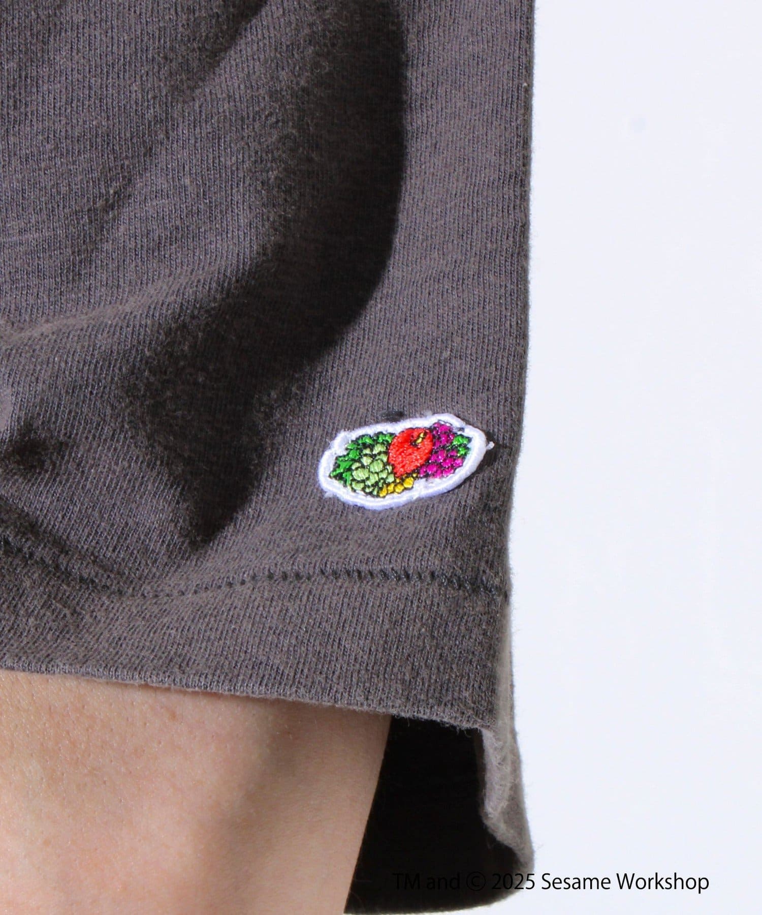 FREDY & GLOSTER(フレディ アンド グロスター) 【SESAME STREET×FOTL】 Photo T-Shirt D