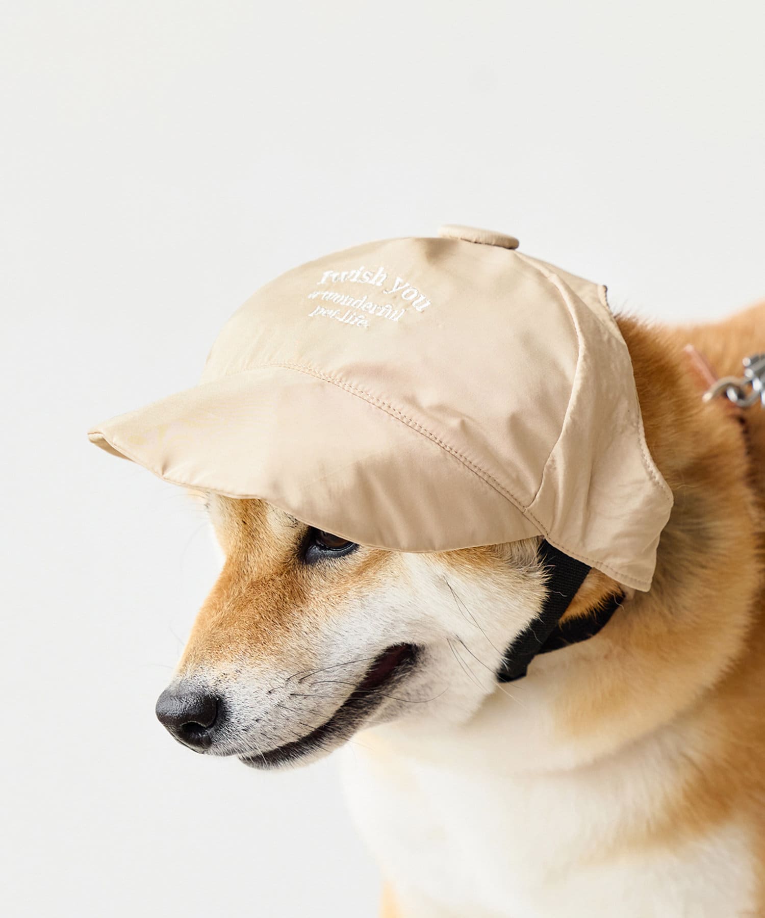 3COINS(スリーコインズ) キャップ：中型犬用