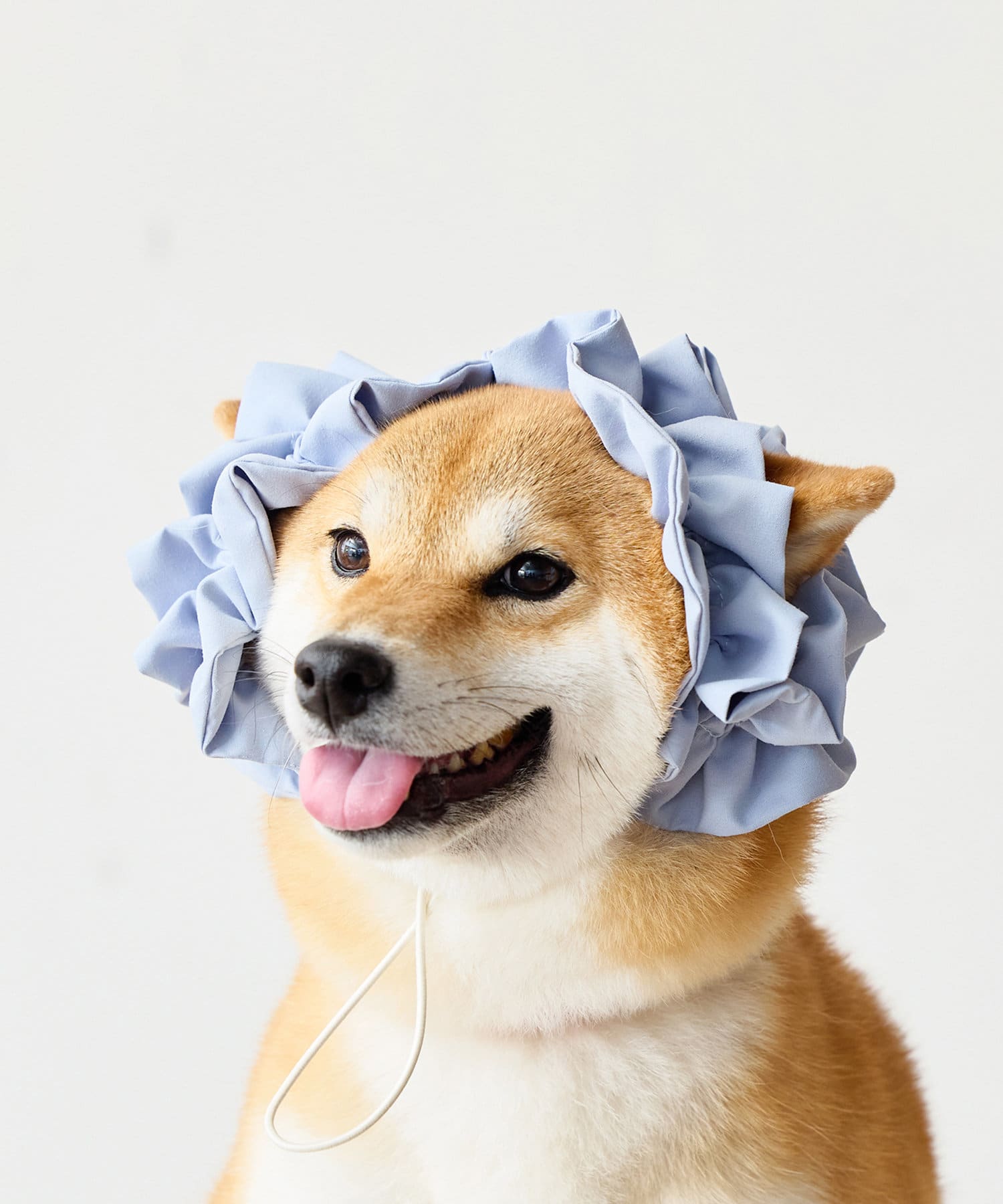 3COINS(スリーコインズ) イヤーシュシュ：中・大型犬用