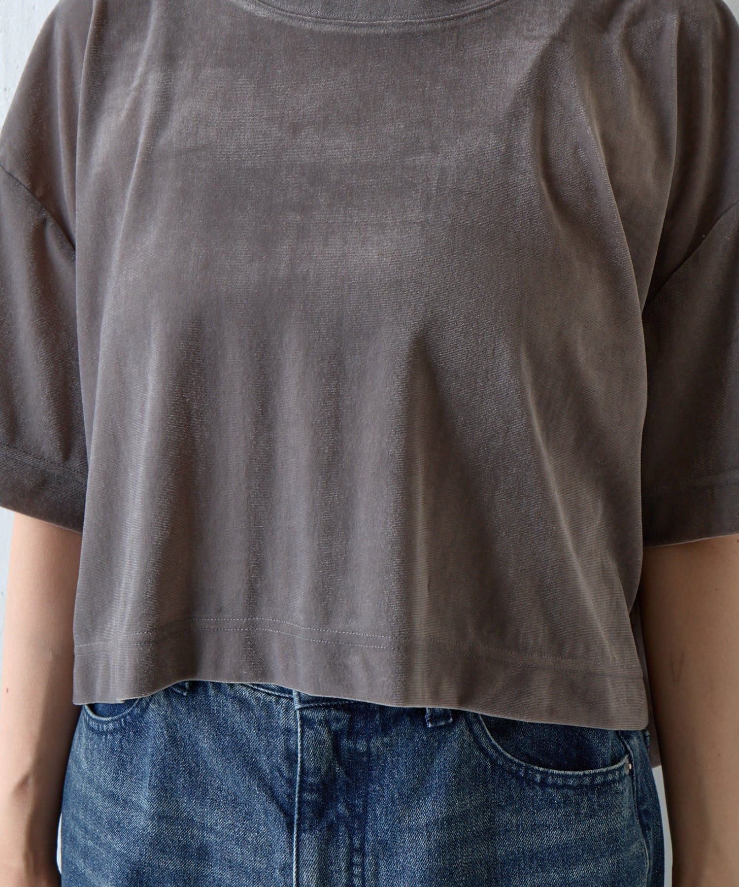 COLONY 2139(コロニー トゥーワンスリーナイン) シアーベロアワイドクロップドTシャツ