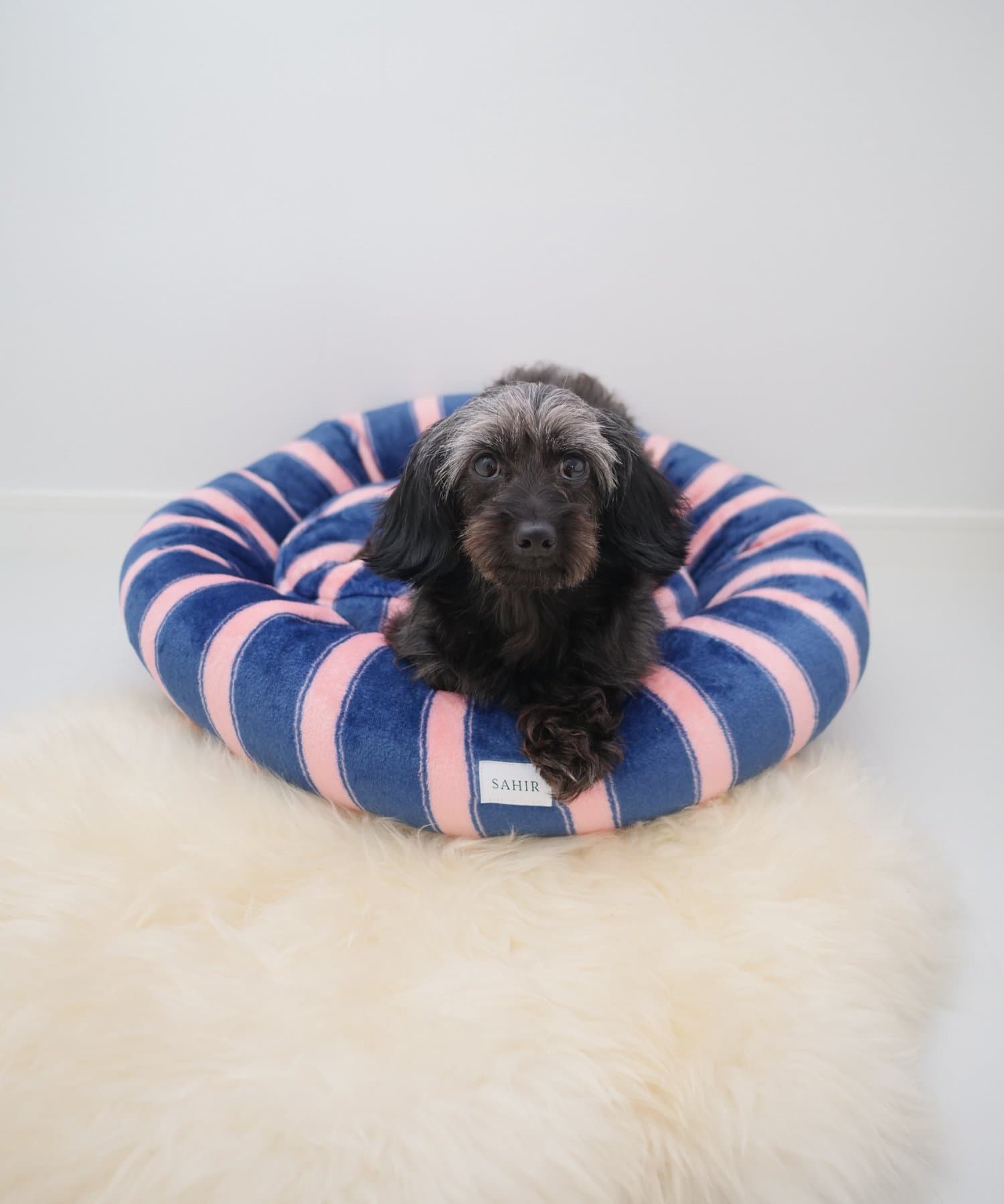 BIRTHDAY BAR(バースデイバー) 【SAHIR サヒール】PET BED　Circle