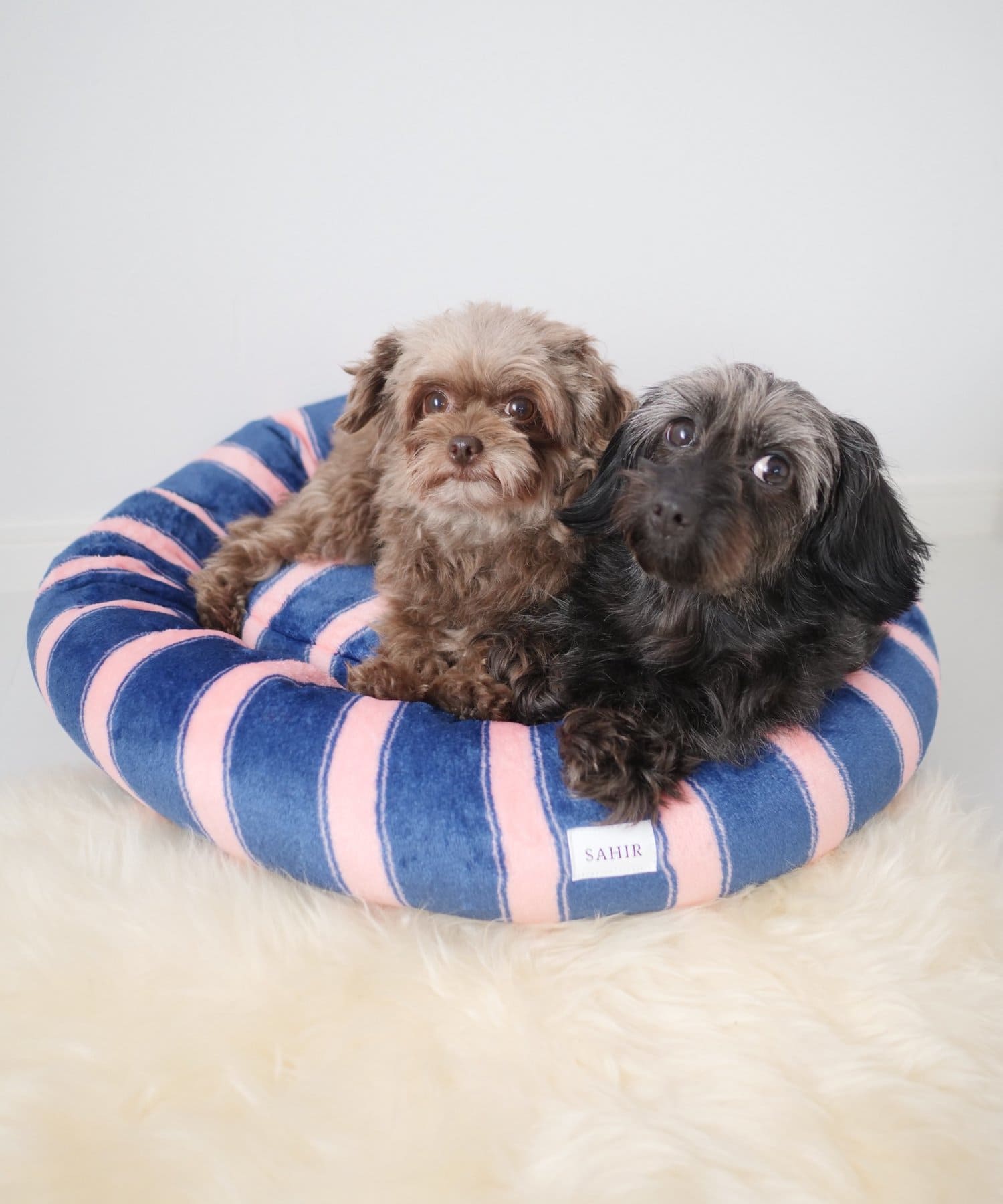 BIRTHDAY BAR(バースデイバー) 【SAHIR サヒール】PET BED　Circle