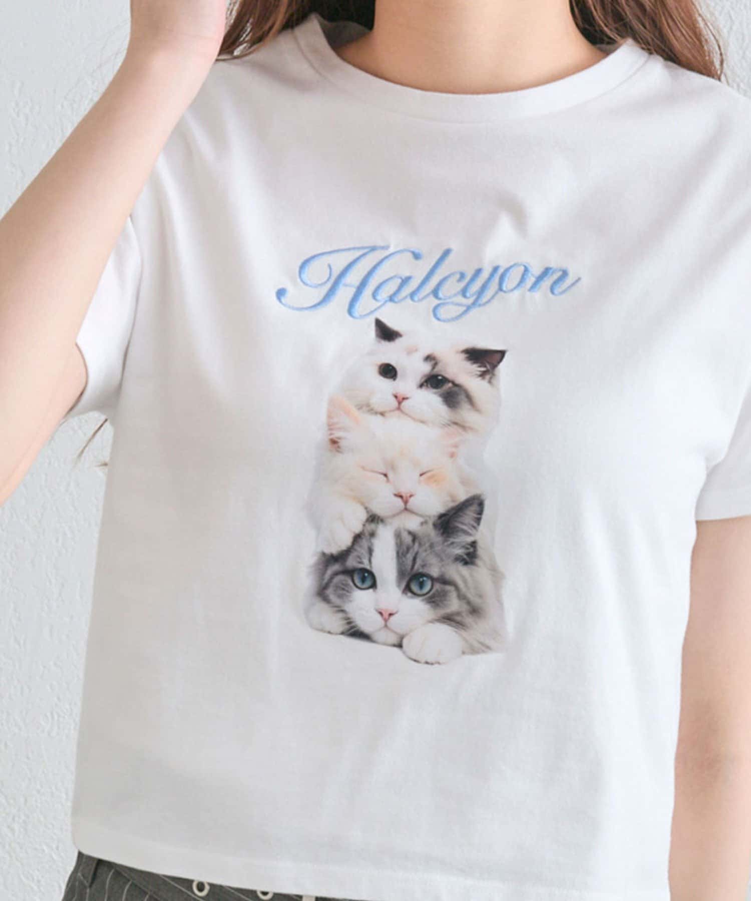 ネコプリントが目を惹くガーリーTシャツ■デザイン・カラーごとに異なるネコのプリントにリボンや刺繍をプラスしたデザイン。・コンパクトなサイズ感で着ぶくれしにくく、スタイルアップ効果も抜群。・柔らかく触り