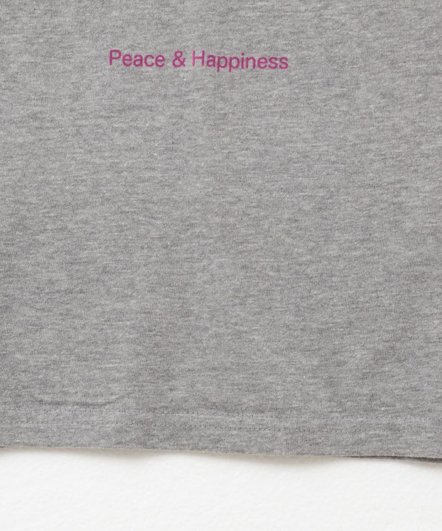 NOLLEY'S(ノーリーズ) RML フロッキープリントTシャツ