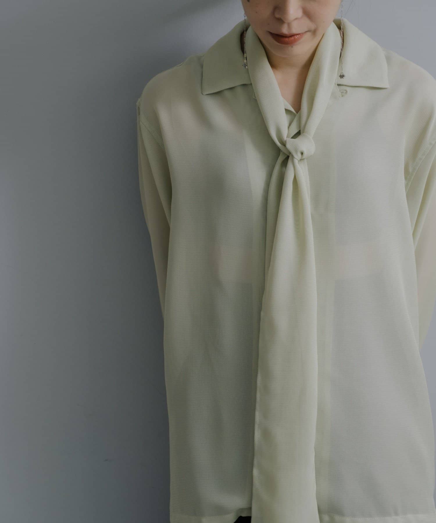 Pasterip(パセリ) KARAMI sheer shirt