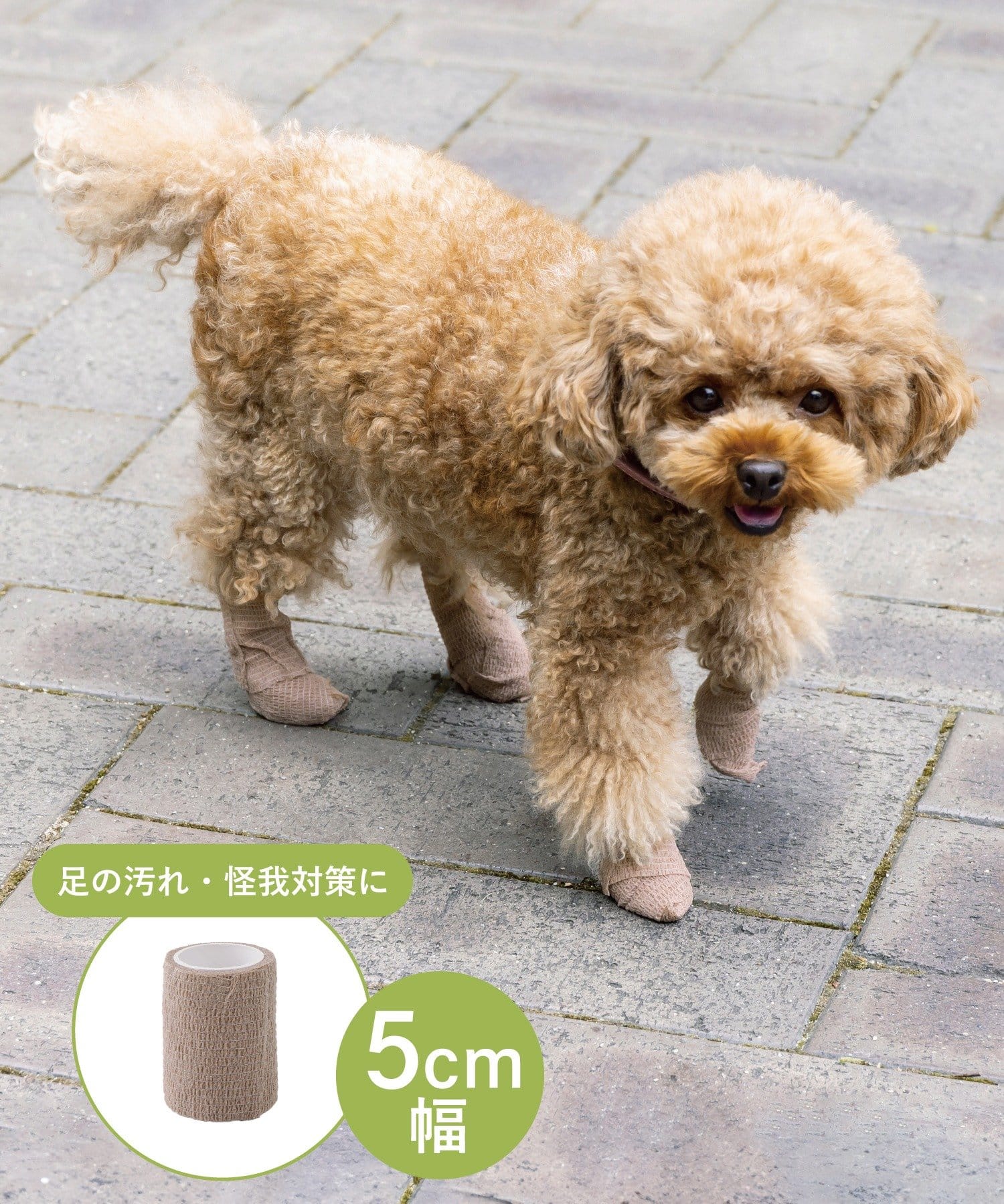 3COINS(スリーコインズ) 使い捨てロールシューズ5cm幅