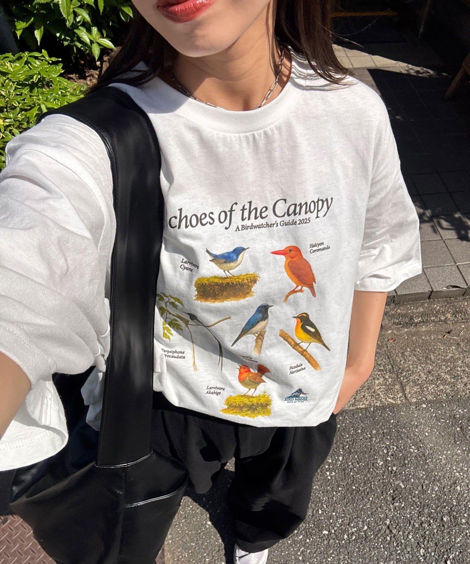 街でも自然を感じるワイルドライフTシャツ▼ポイントまるで図鑑の1ページのような、日本の野鳥たちをリアルにプリントしたコレクションTシャツ。洗いのかかったボディとヴィンテージライクな色味が、ラフだけど品
