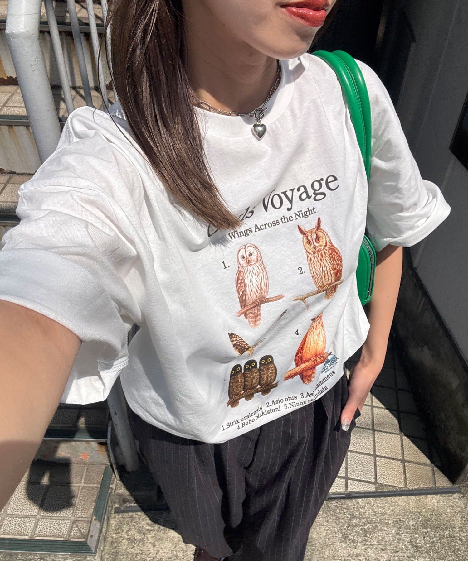 街でも自然を感じるワイルドライフTシャツ▼ポイントまるで図鑑の1ページのような、日本の野鳥たちをリアルにプリントしたコレクションTシャツ。洗いのかかったボディとヴィンテージライクな色味が、ラフだけど品