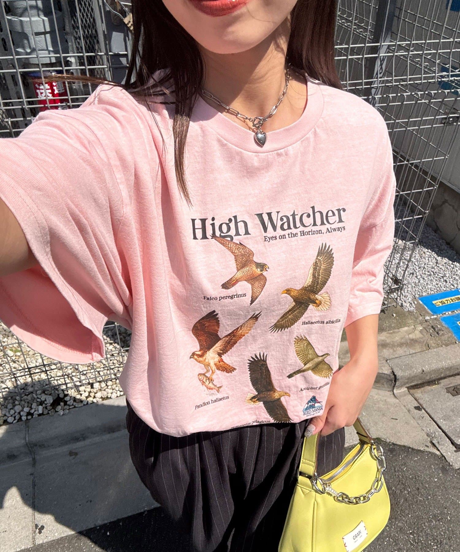 街でも自然を感じるワイルドライフTシャツ▼ポイントまるで図鑑の1ページのような、日本の野鳥たちをリアルにプリントしたコレクションTシャツ。洗いのかかったボディとヴィンテージライクな色味が、ラフだけど品