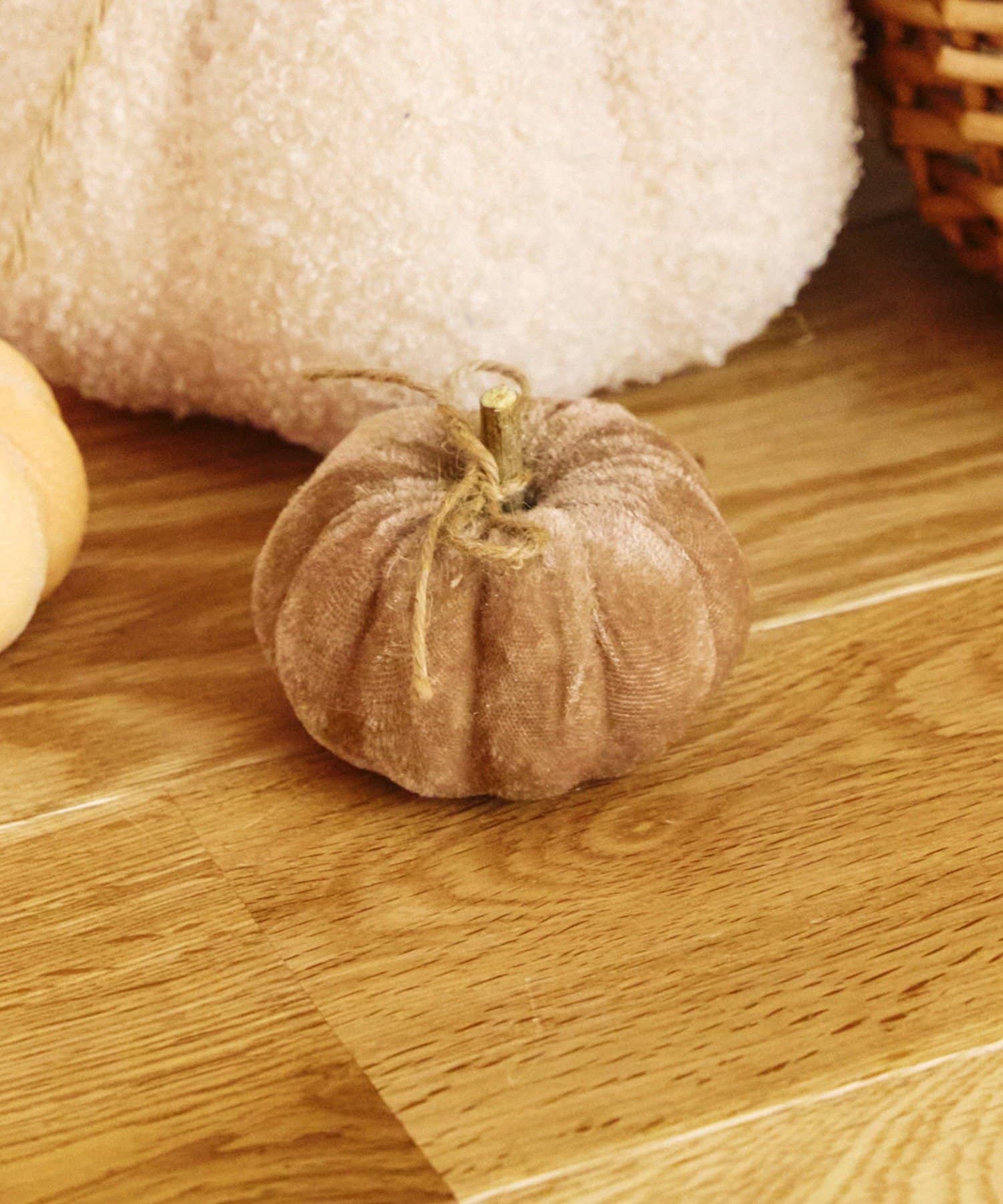 salut!(サリュ) ベロアかぼちゃ：S／natural halloween