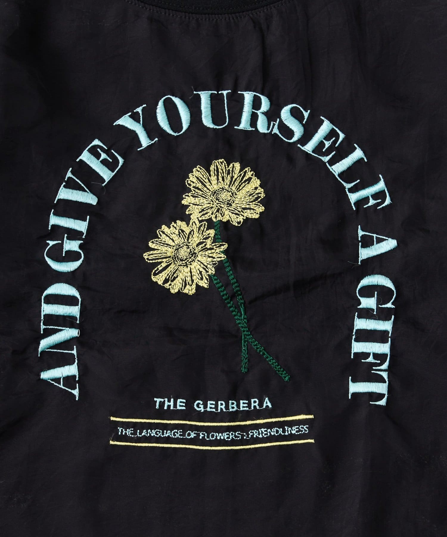 CIAOPANIC TYPY(チャオパニックティピー) 【WEB限定】【KIDS】刺繍オーガンジーレイヤード長袖カットソー