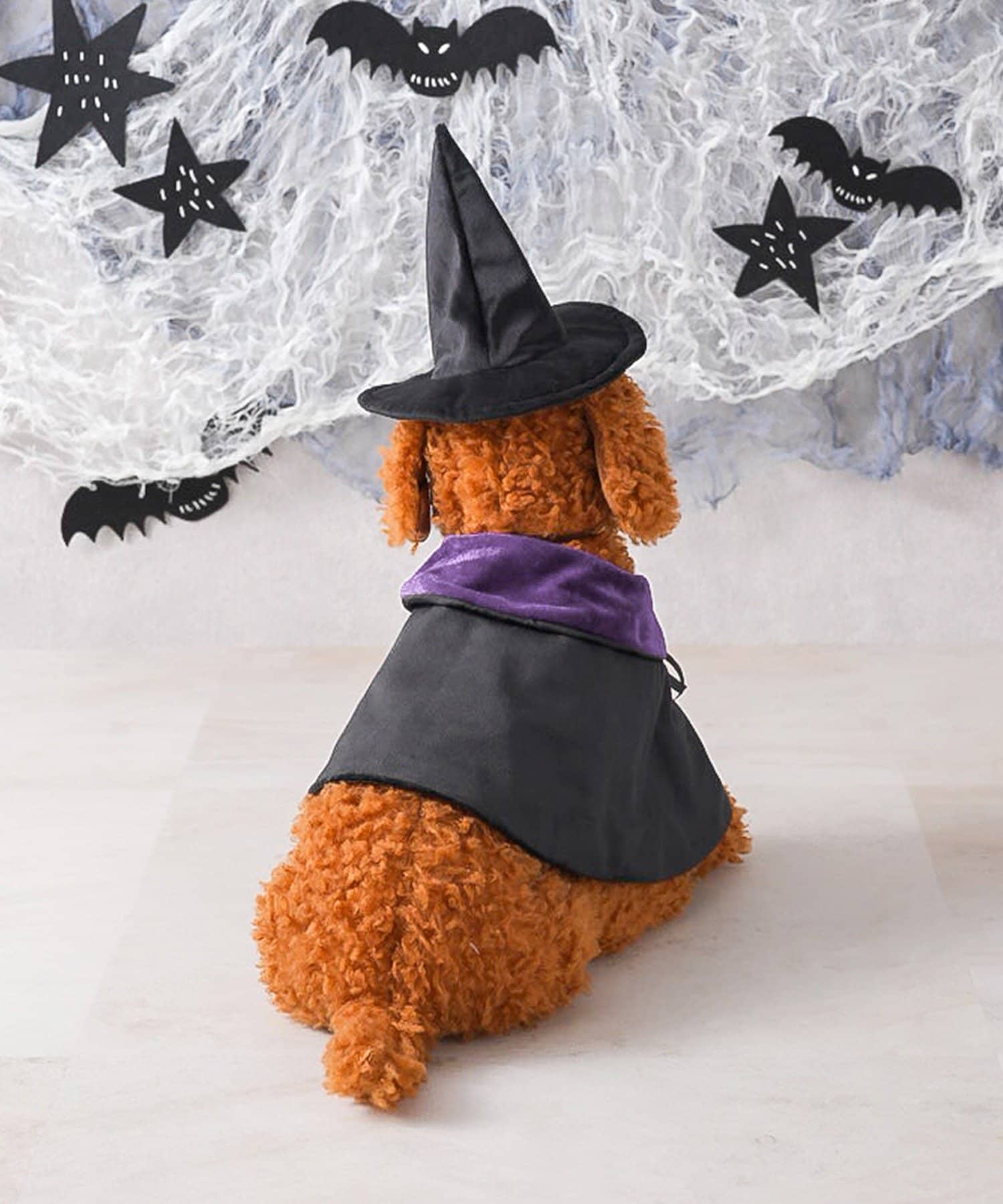 ハロウィン 魔女の人形と飾りセット30アイテム Amazon.co.jp: ハロウィンぬいぐるみデコレーション,魔女の