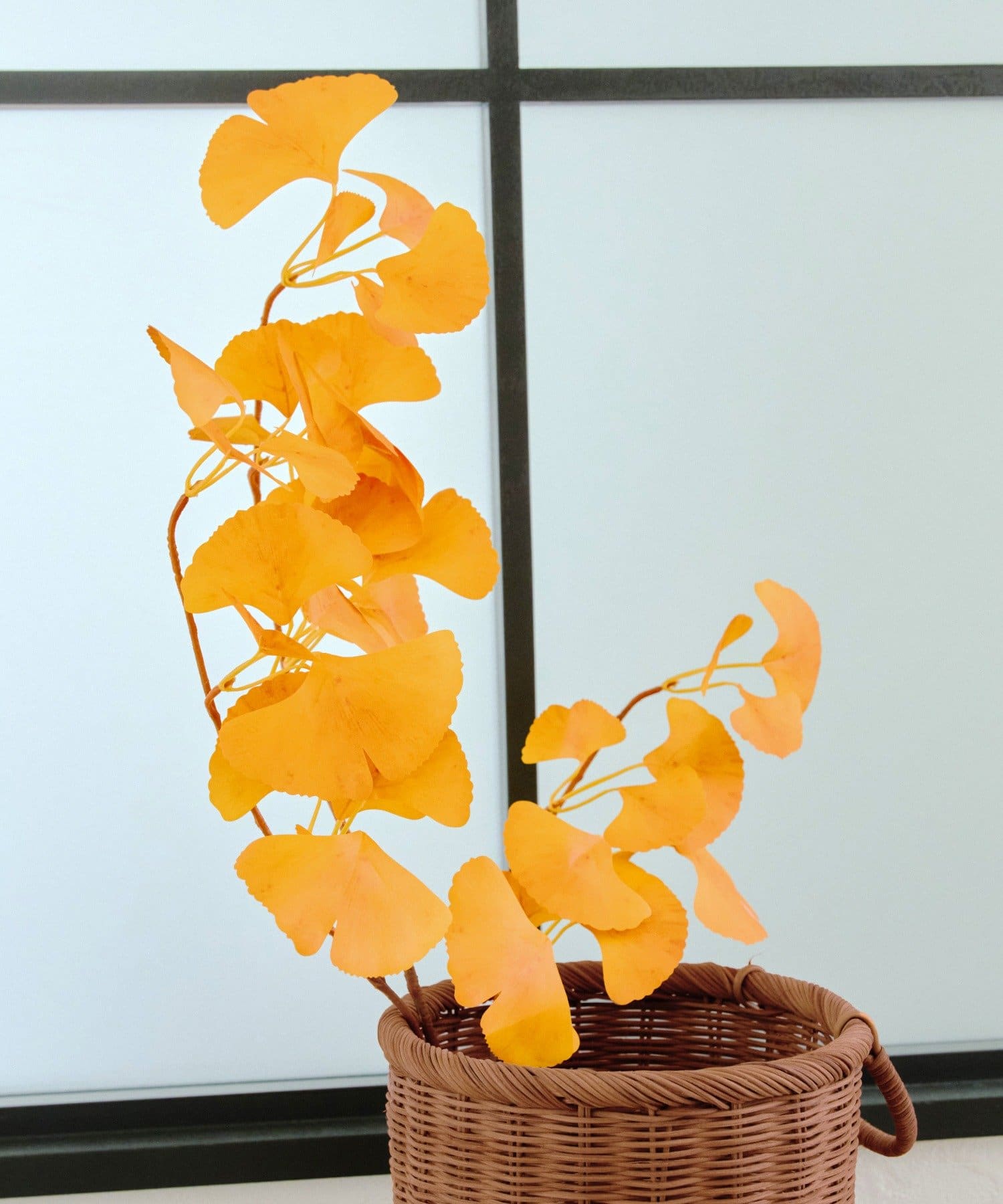 salut!(サリュ) イチョウの枝