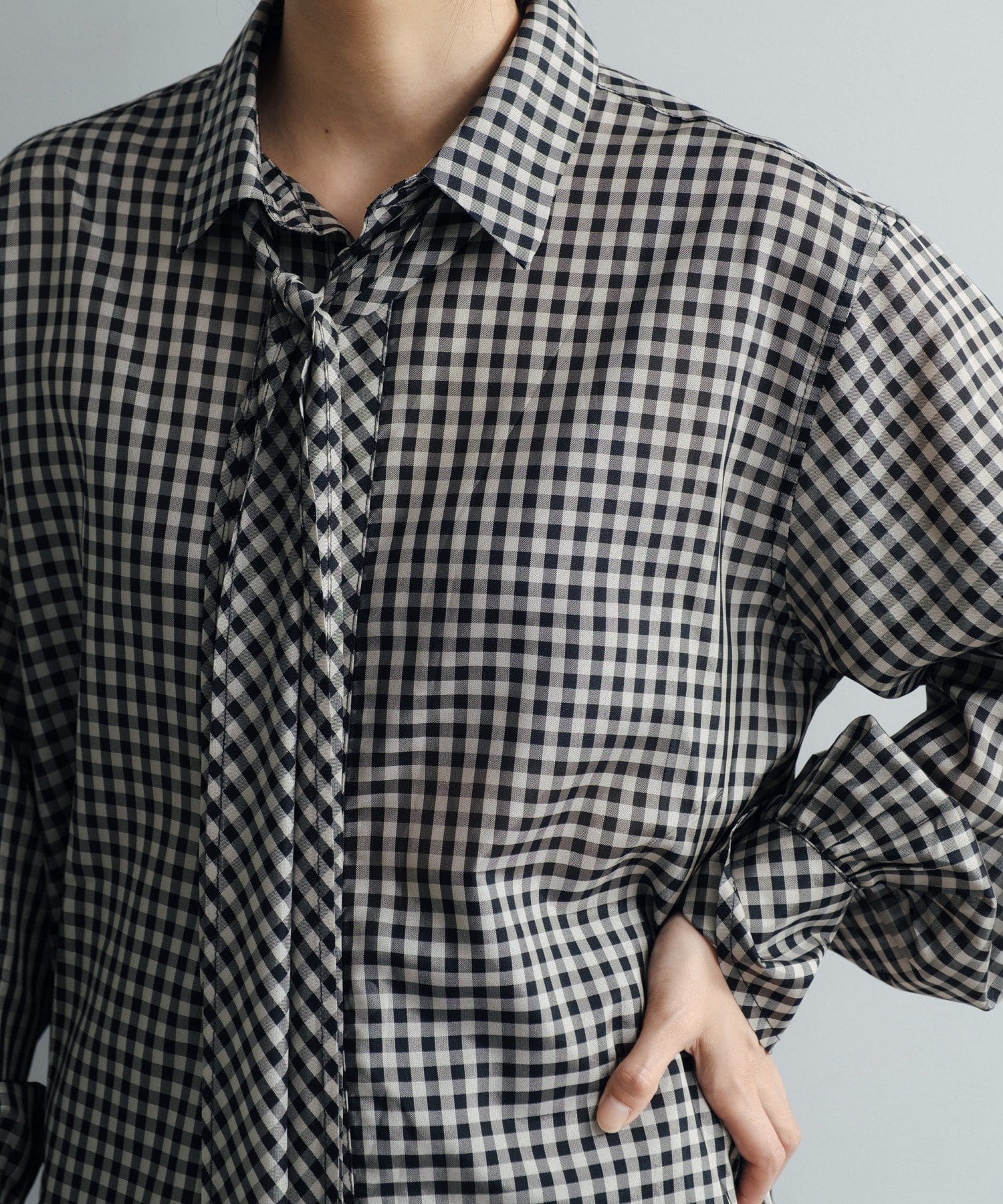 Pasterip(パセリ) Acetate sheer gingham shirt