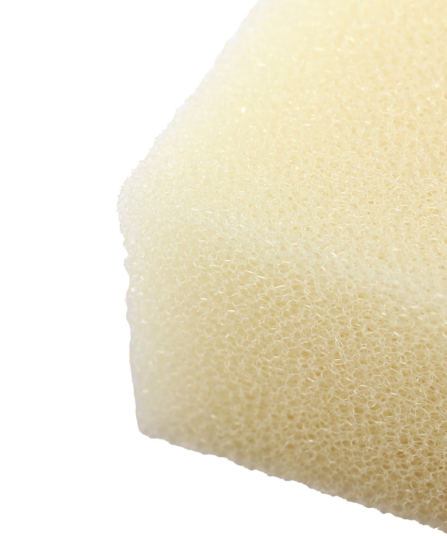 salut!(サリュ) こだわりのスポンジ