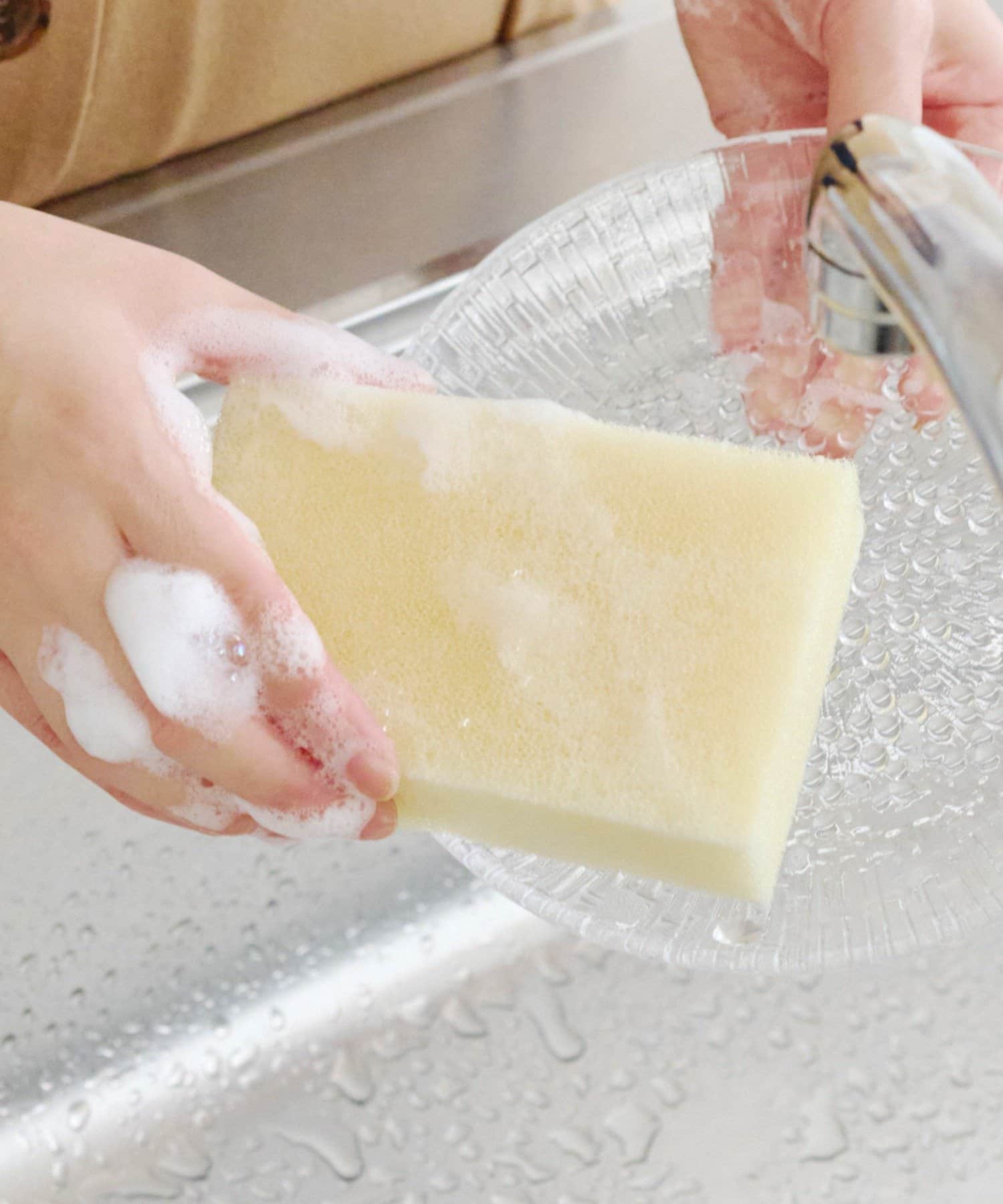 salut!(サリュ) こだわりのスポンジ4個セット