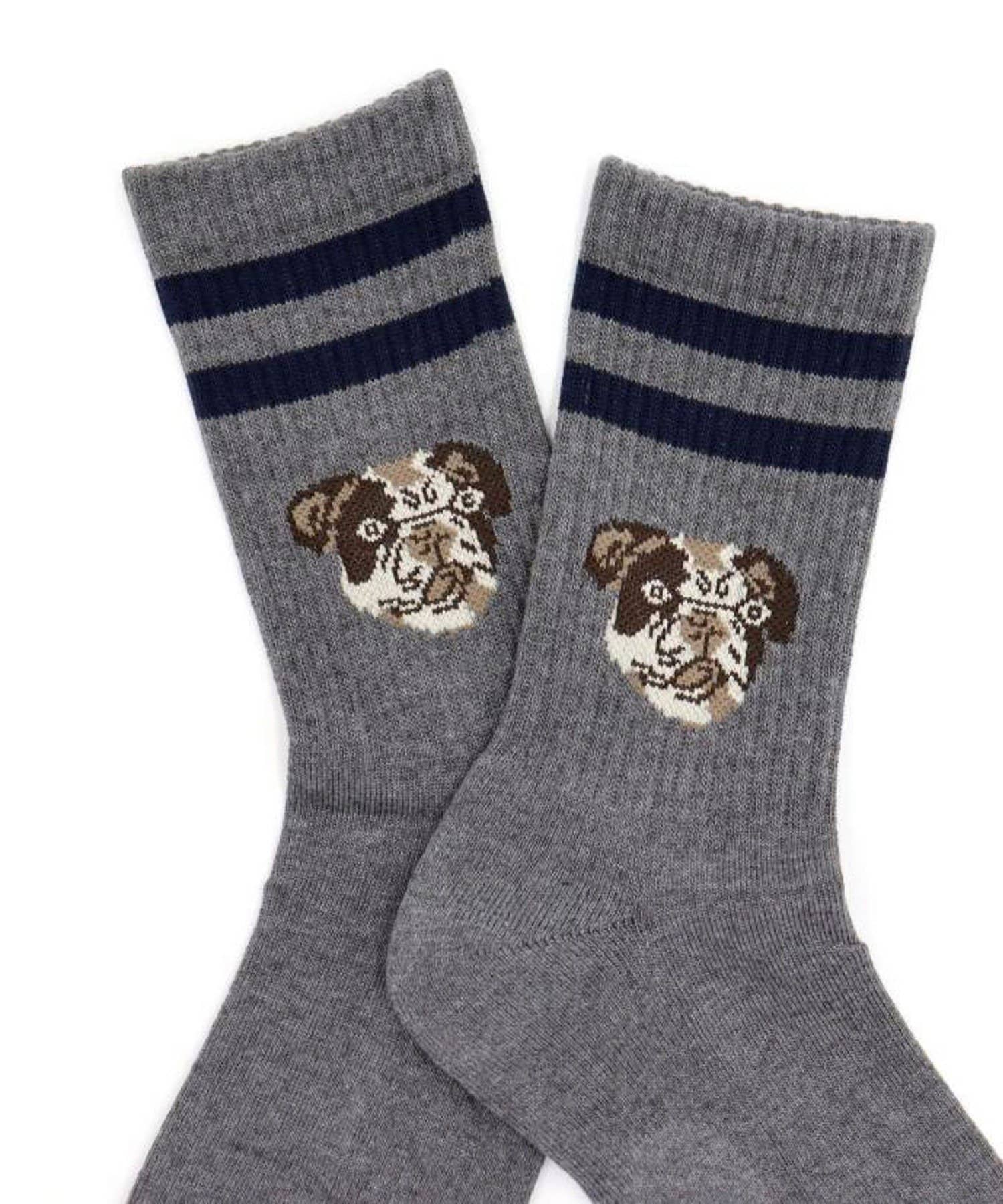 FREDY & GLOSTER(フレディ アンド グロスター) 【ROSTER SOX/ロスターソックス】DOG