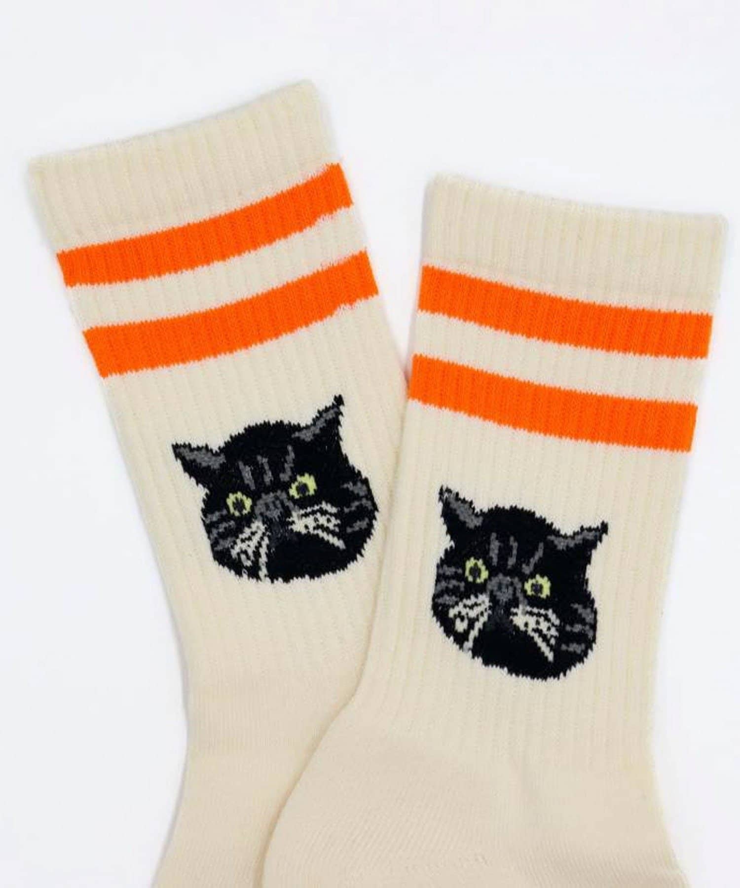 FREDY & GLOSTER(フレディ アンド グロスター) 【ROSTER SOX/ロスターソックス】CAT