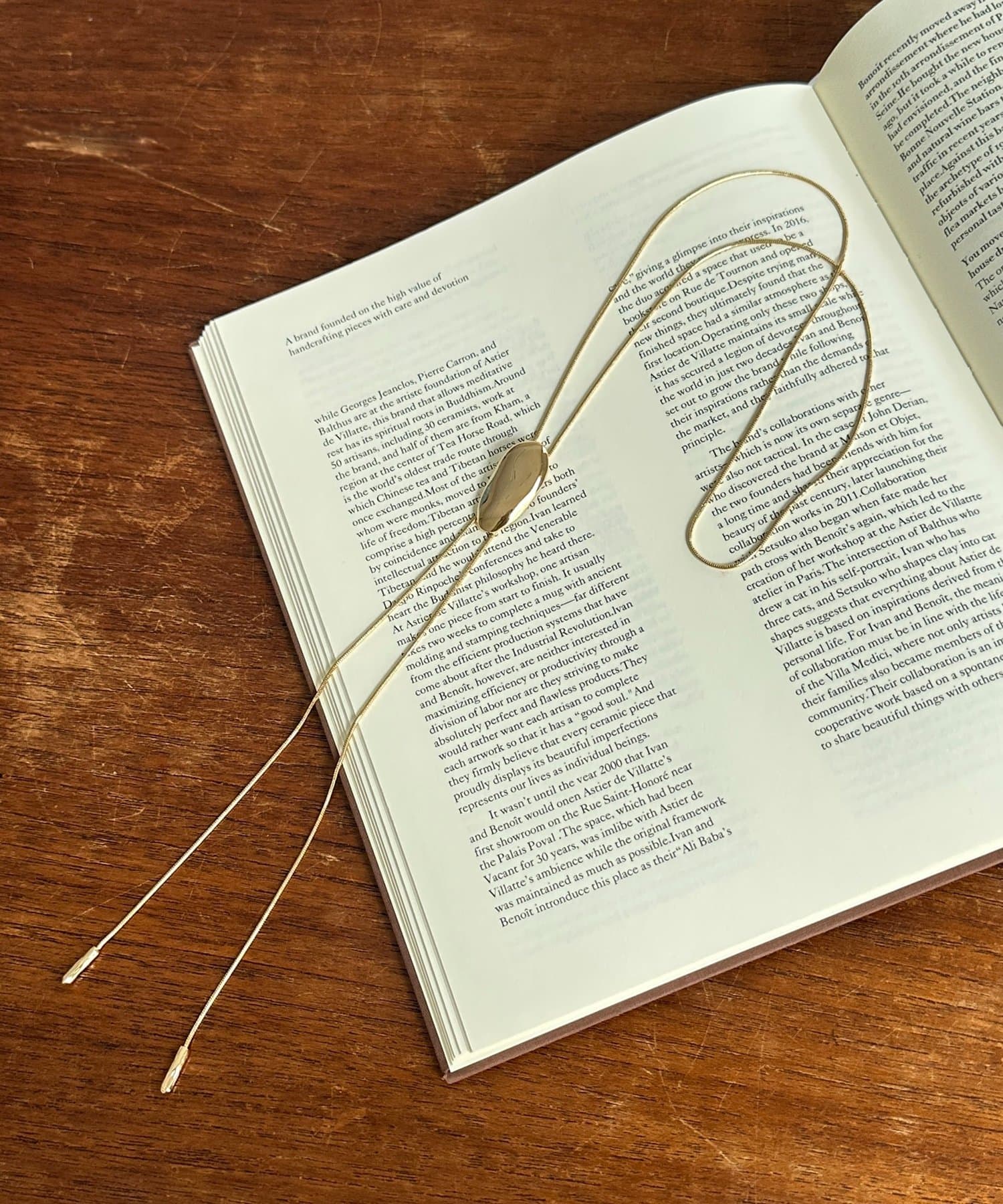 Thevon.(ゼヴォン) 【heilly】ニュアンスモチーフループタイ