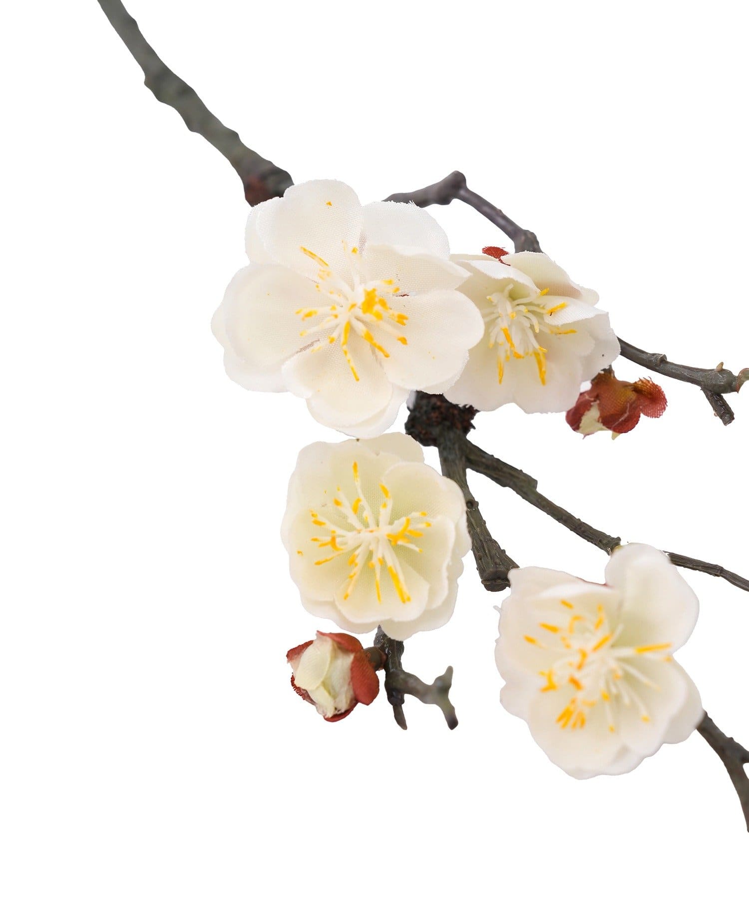 salut!(サリュ) 春日梅/正月のお飾り