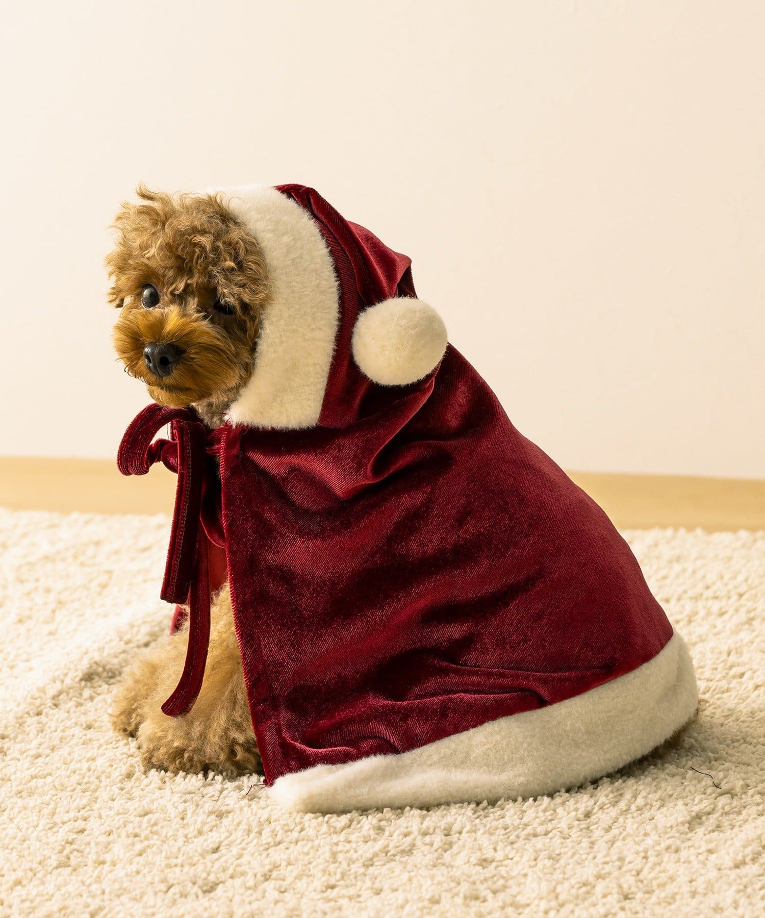 3COINS(スリーコインズ) PET用サンタケープ/クリスマス