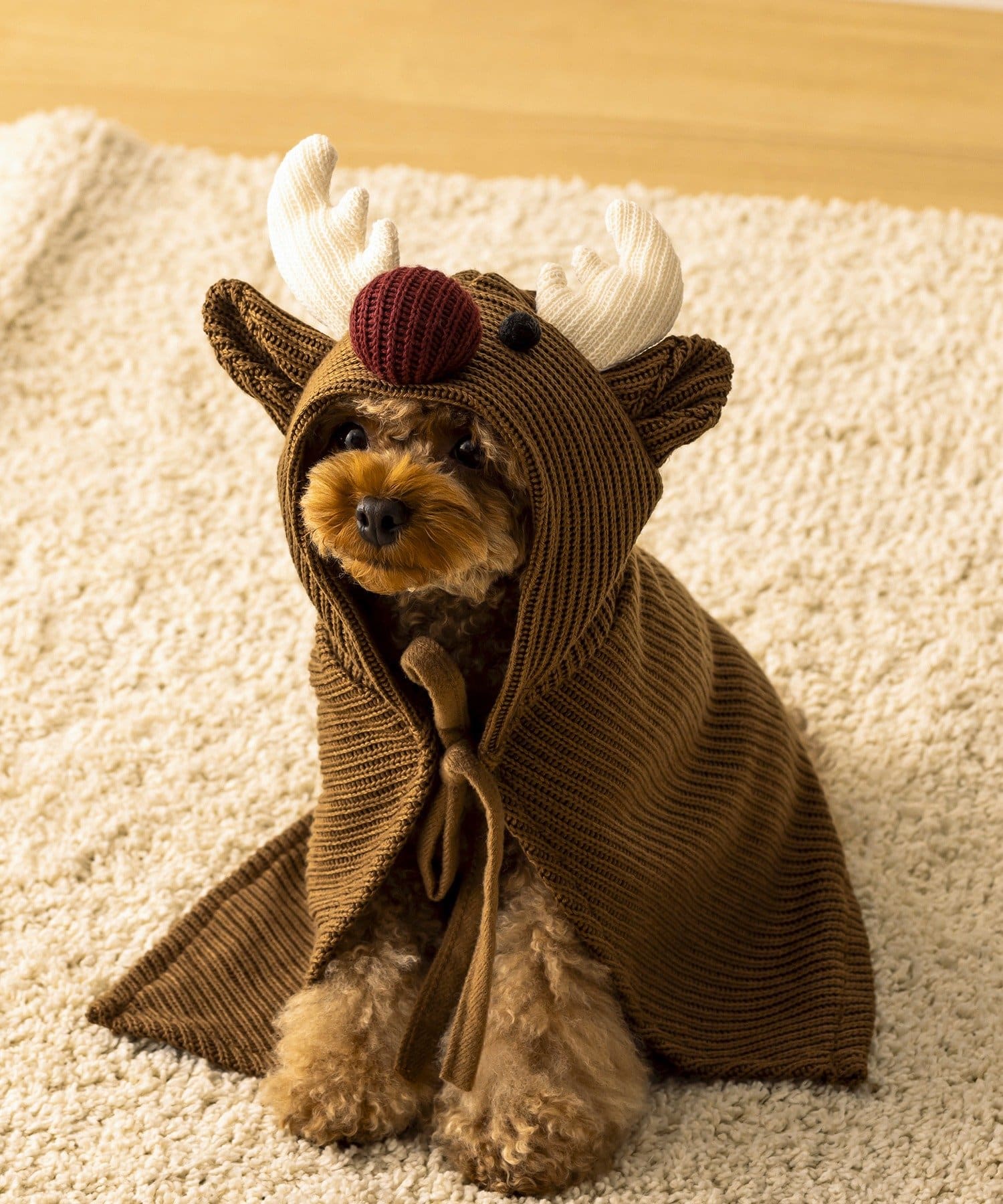 3COINS(スリーコインズ) PET用トナカイケープ/クリスマス