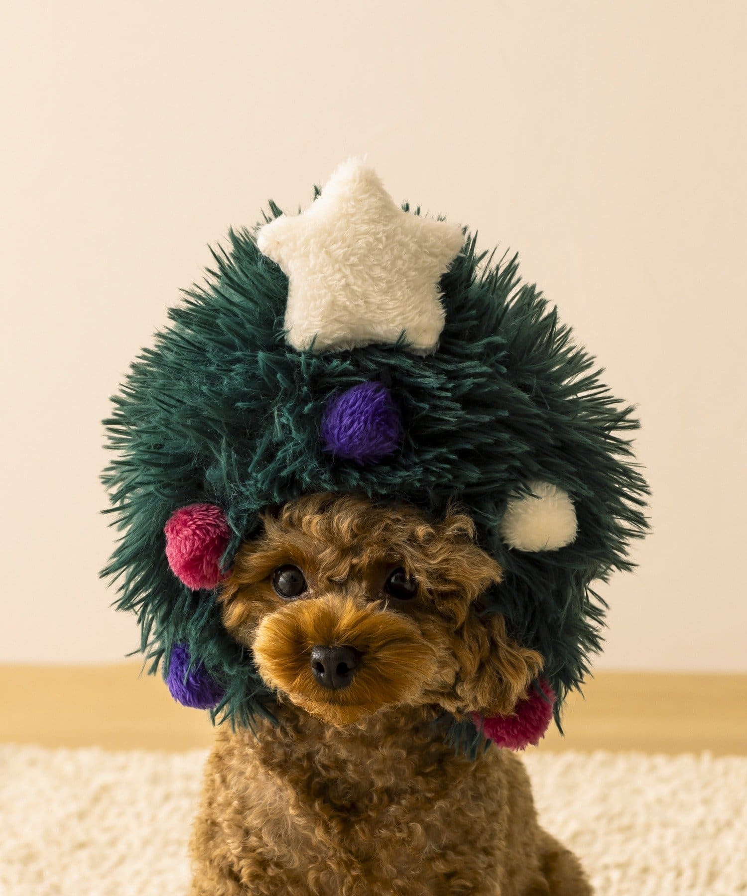 3COINS(スリーコインズ) PET用ツリーかぶりもの/クリスマス