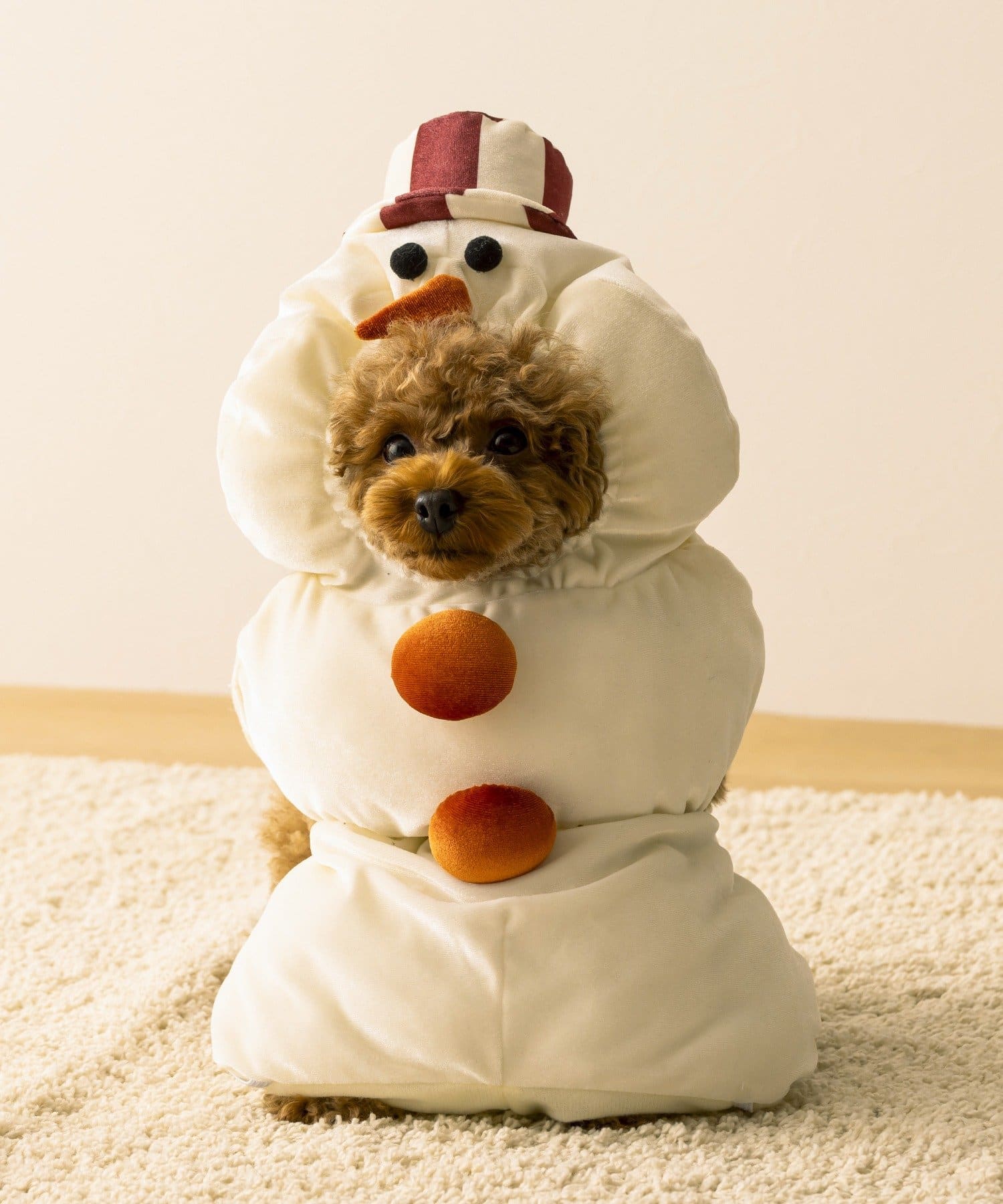 3COINS(スリーコインズ) PET用スノーマンコス/クリスマス