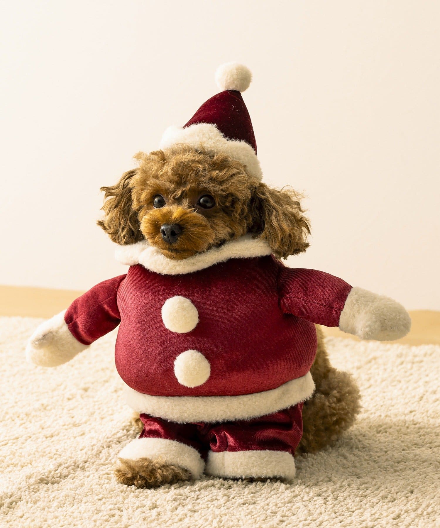 3COINS(スリーコインズ) PET用サンタコス/クリスマス